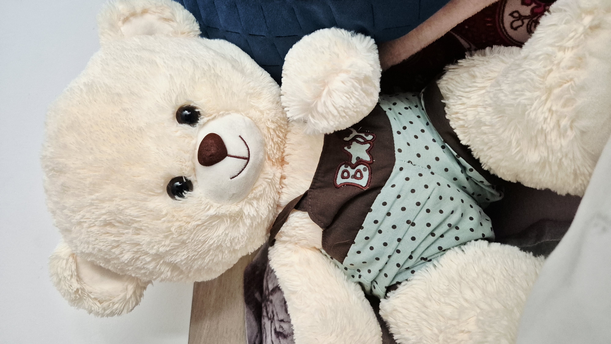 A cream-colored teddy bear is sitting upright on a blue cushioned surface, with its legs resting on what appears to be a brown blanket. The teddy bear is wearing a brown and teal polka dot outfit. The outfit has a brown bib with "B" and a star embroidered on it in teal. The teddy bear has black button eyes, a brown nose, and a stitched smile. The background is a light-colored wall. The image does not contain information about the city of Lovech, Bulgaria.