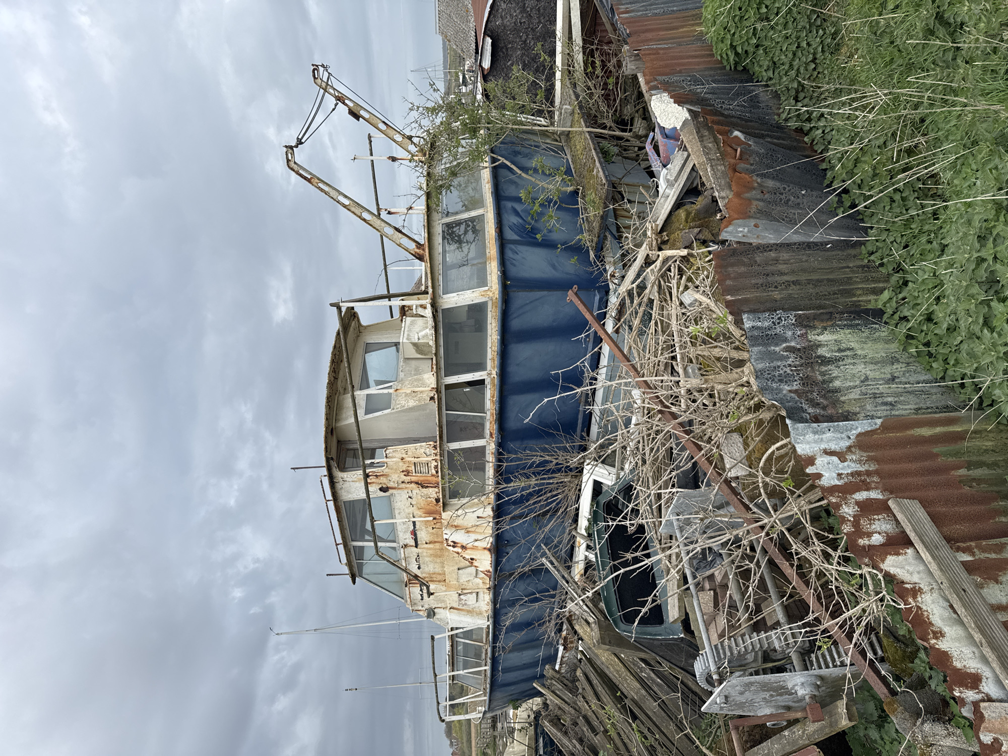 This media file captures a derelict and overgrown scene, centered around a large, abandoned vessel, likely a fishing boat or workboat, situated in a cluttered, outdoor environment in East Suffolk, United Kingdom. The boat appears to be dry-docked or beached, surrounded by an accumulation of debris and wild vegetation.
The main subject is the substantial boat, which displays significant signs of decay. Its hull is a faded dark blue, contrasting with the multi-level superstructure and cabin, which are a light color, heavily discolored by rust and peeling paint. Numerous windows are visible along the cabin, some appearing damaged or obscured. A prominent, rusted metal crane-like structure or boom extends from the foredeck.
The immediate surroundings are a chaotic mix of natural overgrowth and discarded materials. Tangled, thorny, leafless branches and brambles heavily obscure parts of the boat's hull and the foreground. To the right and behind the boat, various corrugated metal sheets, some deeply rusted and others streaked with dark weathering, form makeshift structures. Vibrant green foliage, possibly ivy or nettles, grows abundantly over these metal sheets and along the banks. Scattered wooden planks, debris, and rusted machinery parts, including a visible gear mechanism, add to the scene of disarray.
The sky is uniformly overcast and grey, indicating a cloudy daytime. No people are present, and the scene strongly conveys a sense of abandonment, with nature gradually reclaiming the man-made structures. The overall atmosphere is one of desolation and neglect. Faint outlines of other boats, possibly sailboats, are visible in the distant background, suggesting proximity to a body of water or a marina. No discernible text is visible in the image.