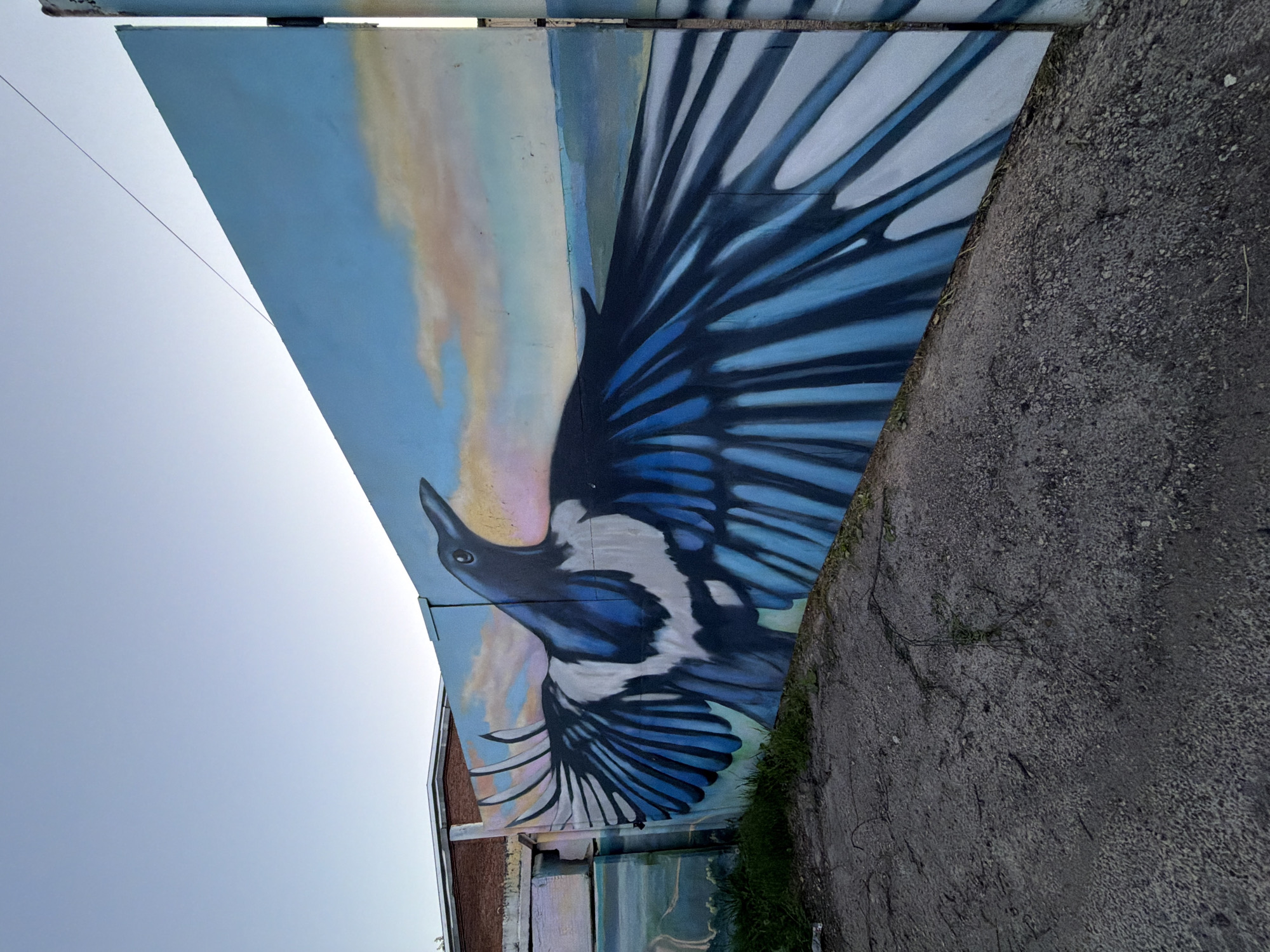 The image shows a mural on a concrete wall depicting a large black and white bird with outstretched blue wings against a sky with soft clouds. The mural is located in Chaikovsky, Russia. To the left of the mural, a brick building is visible, and to the right, the mural continues onto another section of the wall. The foreground is a rough, gray asphalt surface with some dry grass and debris. The sky is clear and blue, suggesting it is daytime.