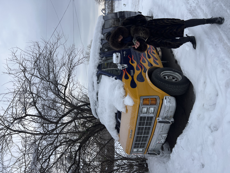 The image displays a snow-covered urban scene in Belgrade, Serbia, under an overcast sky. A large, bare deciduous tree with snow-dusted branches dominates the left background, with power lines visible in the upper right.
The primary subject is a customized blue and yellow Dodge Ram van, heavily covered with snow on its roof and hood, with icicles hanging from the roofline. The lower yellow section of the van features red and orange flame decals. The front of the van shows a chrome grille, rectangular headlights, and a chrome bumper. A Serbian license plate, "03 LA 213," is affixed to the front bumper; this registration code indicates Valjevo. The vehicle is parked on a surface partially cleared of snow, revealing darker pavement beneath.
Standing to the front-left of the van is an individual dressed in a long, dark brown fur coat with a prominent fur-lined hood. The person wears dark pants and dark boots, and is actively engaged with a smartphone held in both hands, looking down at the screen. The individual's presence is centered in the mid-ground, with footprints visible in the surrounding snow.