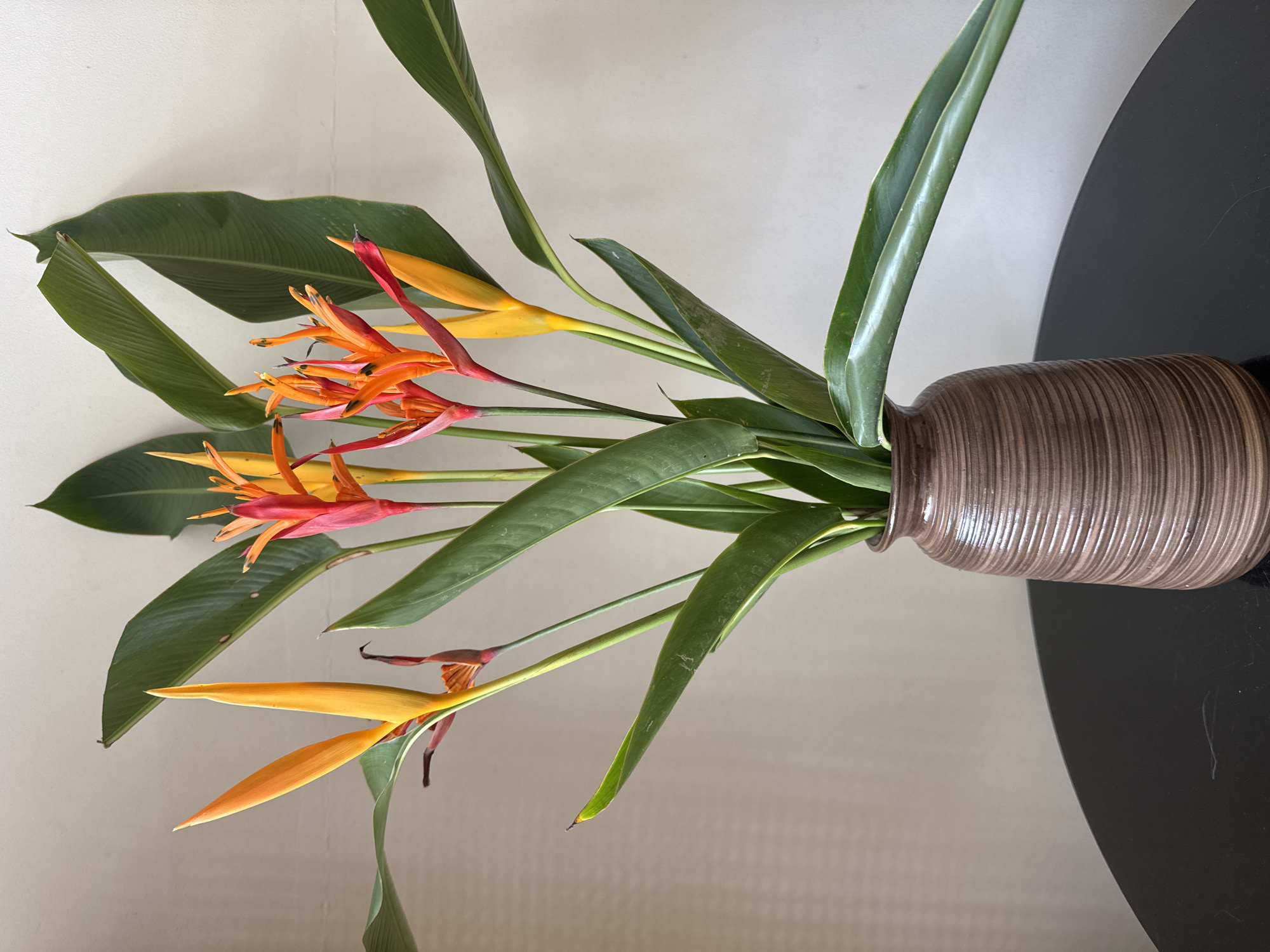 A studio shot depicts a floral arrangement featuring orange and yellow Heliconia flowers with large green leaves in a horizontally ridged vase, set against a light-colored wall and a portion of a black table. No people are visible. The scene is likely indoors, and there is no visible evidence to confirm the location as Đà Nẵng, Vietnam.