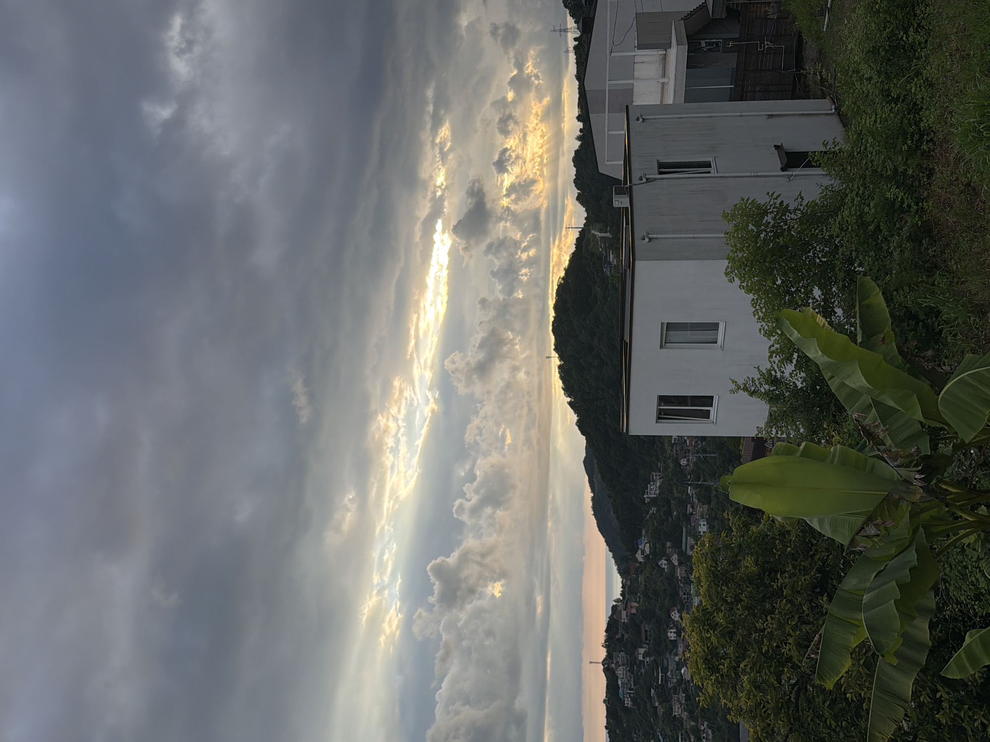 The image depicts a dramatic sunset over a densely populated hillside in Baranovka, Russia. The sky is filled with heavy, dramatic clouds, with shafts of golden sunlight breaking through in the center, creating a striking contrast between light and dark. The sunlight illuminates some of the clouds, giving them a warm, almost fiery hue.
The hillside is covered with lush green vegetation and dotted with numerous houses, suggesting a community built on a steep incline. The houses appear to be of various sizes and architectural styles, many with white or light-colored walls and tiled roofs.
In the foreground, on the right side of the image, a large banana tree with broad, green leaves is visible. Behind it, a white, modern-looking building with several windows is partially visible, hinting at contemporary construction amidst the older settlement.
The overall mood of the image is one of natural beauty and dramatic atmosphere. The time of day is clearly sunset, indicated by the warm, low-angle light and the dramatic cloud formations. The weather appears to be clearing after a period of cloudiness, allowing the sun to break through. The location cues, such as the vegetation and architecture, are consistent with a sub-tropical or Mediterranean climate, though the mention of Baranovka, Russia, places it in a region known for its diverse landscapes and coastal areas. No text is visible in the image.