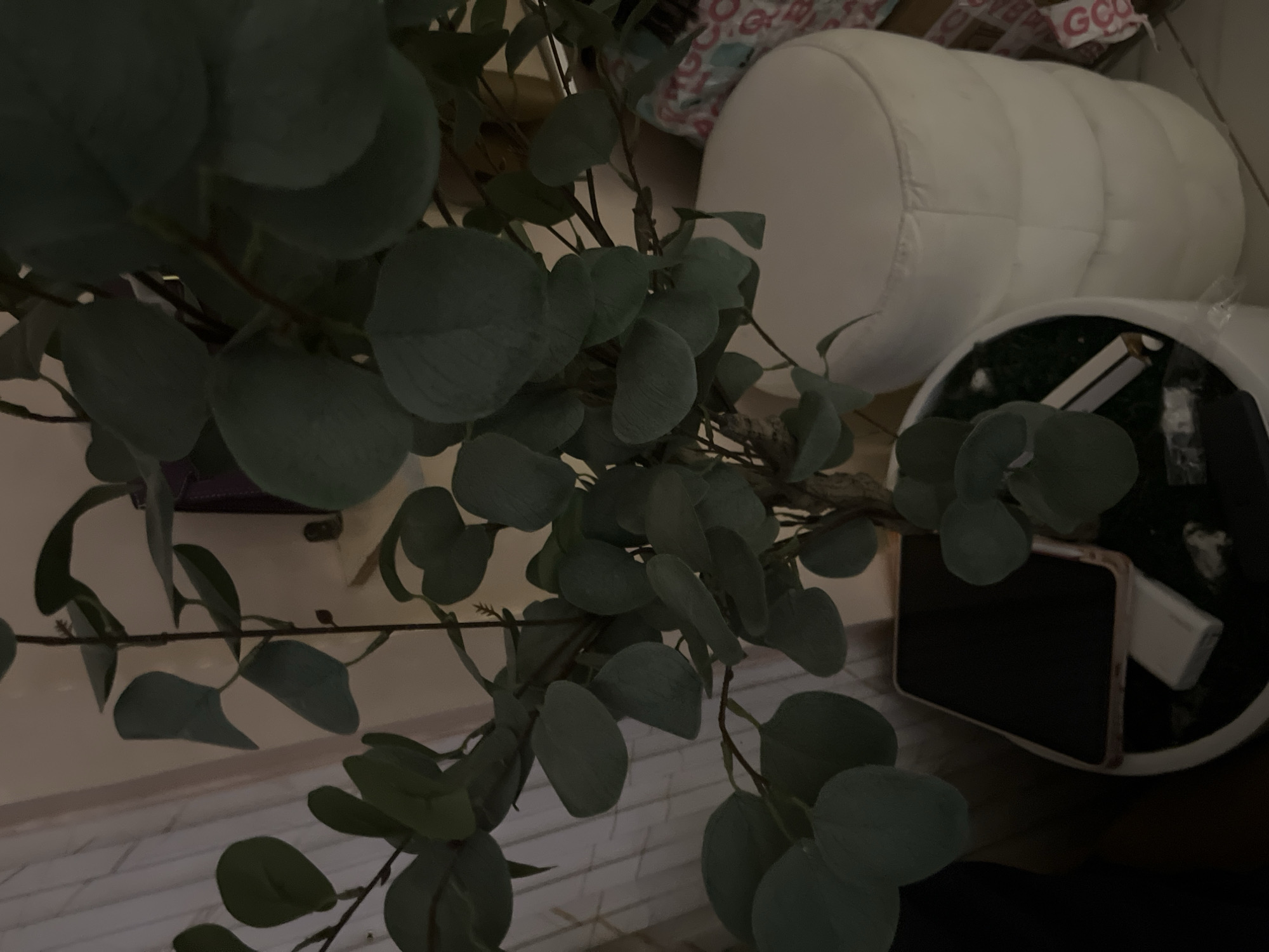 The image depicts an indoor scene, likely a residential setting in Abuja, Nigeria. A tall, artificial eucalyptus plant with large, round, gray-green leaves dominates the foreground. The plant is potted in a white planter, which also contains a black smartphone, a white rectangular power bank, and other small, indistinct objects. To the right of the plant is a white, cylindrical ottoman with a quilted texture. In the background, a sheer, cream-colored curtain hangs, and a portion of a wall is visible. The lighting is dim, casting shadows and creating a somewhat moody atmosphere. There are no people visible in the frame.