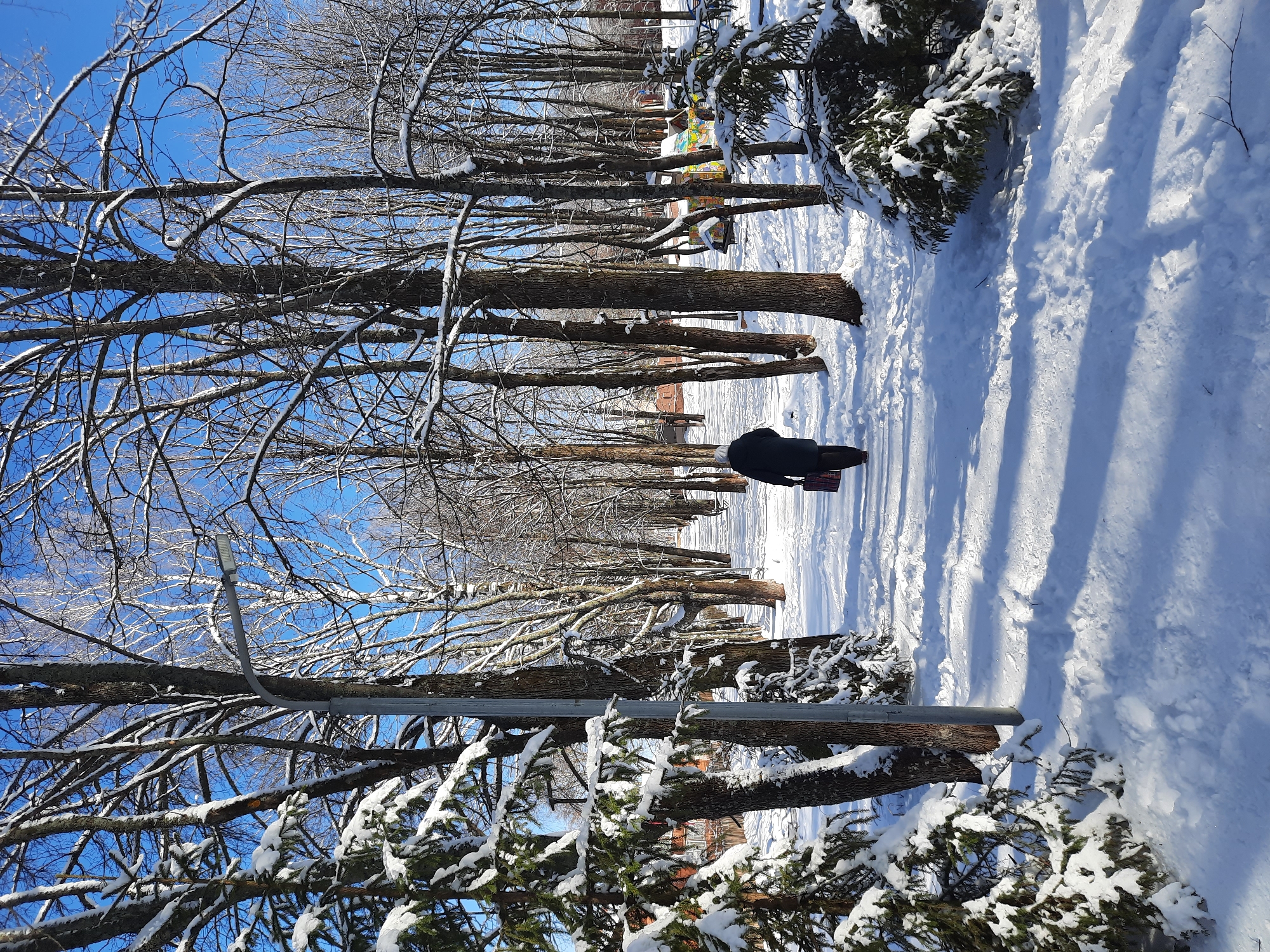 The image shows a snow-covered scene in what appears to be a park in Krasnogorskoye, Russia. Rows of trees line a walkway. The trees are mostly bare, although some evergreens are visible, heavily laden with snow. A single person, dressed in dark clothing, walks along the path, carrying a bag. A street light is partially visible on the left side of the walkway. The sky is blue and clear. The scene conveys a sense of winter tranquility.