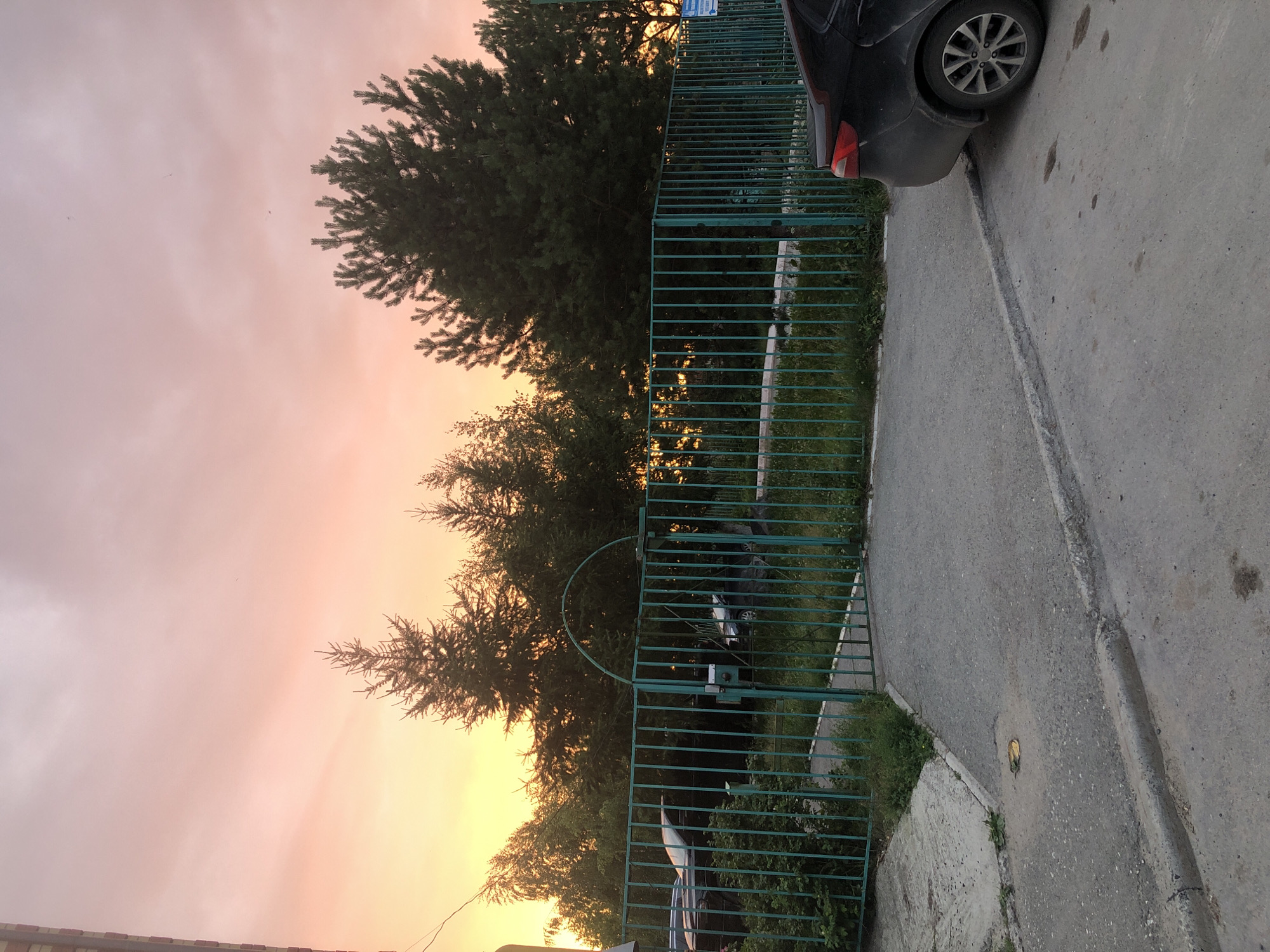 The image depicts a dusky sky with hues of pink and orange, suggesting either sunrise or sunset. Tall evergreen trees dominate the left side of the frame, their branches reaching towards the colorful sky. In the foreground, a green metal fence runs horizontally across the image, separating the trees from a paved area. A black car is partially visible on the right side of the fence, its rear end and wheel in focus. The car is parked on a grey asphalt surface that shows some stains and cracks, indicating wear and tear. Adjacent to the fence and extending into the background, there is more greenery, including bushes and grass. The overall scene appears to be an outdoor setting, possibly a residential area or a parking lot bordering a natural space. The lighting suggests it's either early morning or late evening. There is no visible text in the image.