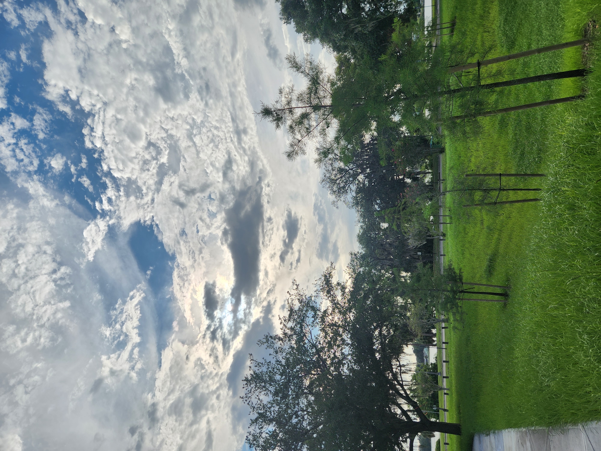 The image shows a park scene with a lush green lawn and trees under a cloudy sky. The sky is filled with a mix of white and gray clouds, with patches of blue sky visible. Sunlight is peeking through the clouds in the upper left portion of the image. In the foreground, there is a paved walkway on the left side. The lawn is covered in tall, green grass, with several small trees planted at intervals. In the middle ground, there is a line of larger trees, some with Spanish moss hanging from them, and beyond that, a body of water that appears to be a lake or river. Streetlights are visible along the edge of the water. The overall impression is of a serene outdoor space.