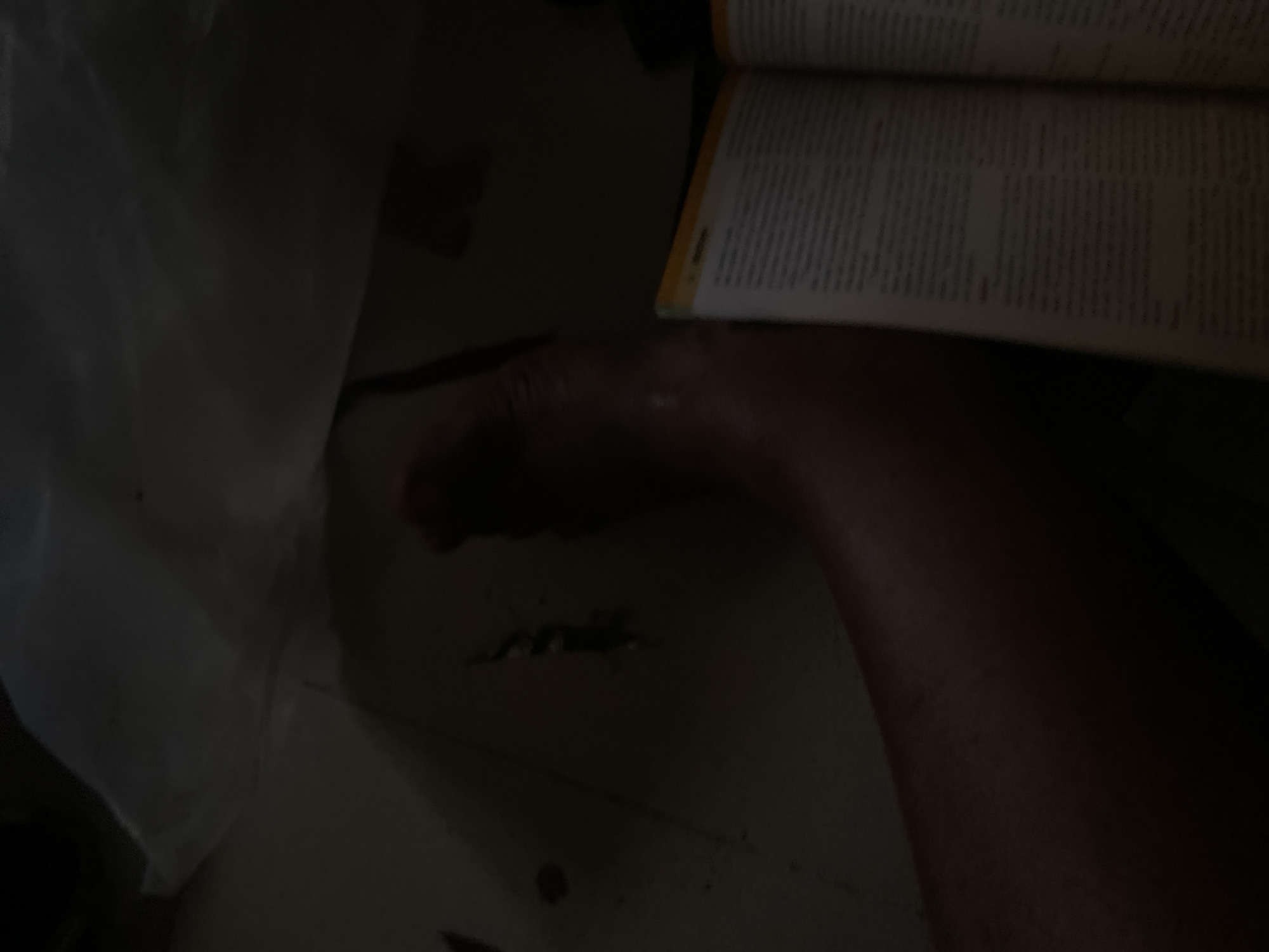 A person's bare foot and lower leg are visible in the foreground, extending into the frame from the bottom left. The skin appears smooth and a medium to dark tone. To the right of the foot, an open book with text is laid out, its pages partially illuminated. The book is positioned to obscure a portion of the leg. The background is dark and indistinct, suggesting low lighting conditions, with a hint of a white, possibly fabric, material on the upper left. The ground appears to be a textured surface, possibly a floor or pavement, with a small dark object resembling an insect or small creature visible in the mid-ground to the left of the foot. There is no indication of the specific location in Jauro Yinu, Nigeria.