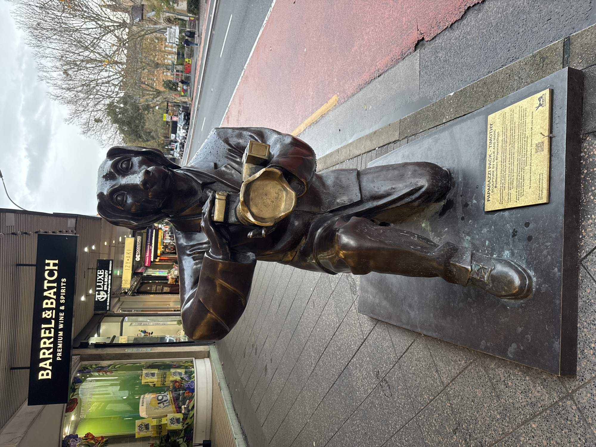 This image captures a bronze sculpture of a dog dressed in a suit, kneeling and holding a camera as if to take a photo. The sculpture is situated on a sidewalk in front of a row of shops, with a street to the right. The shops appear to be in an urban setting, with signage for businesses like "BARREL & BATCH PREMIUM WINE & SPIRITS" and "LUXE SPA & BEAUTY". The street has a red-painted lane, indicative of a bus or bike lane, and vehicles are visible in the distance. The sky is overcast, suggesting a cloudy or rainy day, as evidenced by the wet appearance of the sculpture and the sidewalk. A plaque at the base of the sculpture reads "Paparazzi Pack - Timothy" and provides information about the artwork. The overall scene suggests a public art installation in a commercial district of a city.