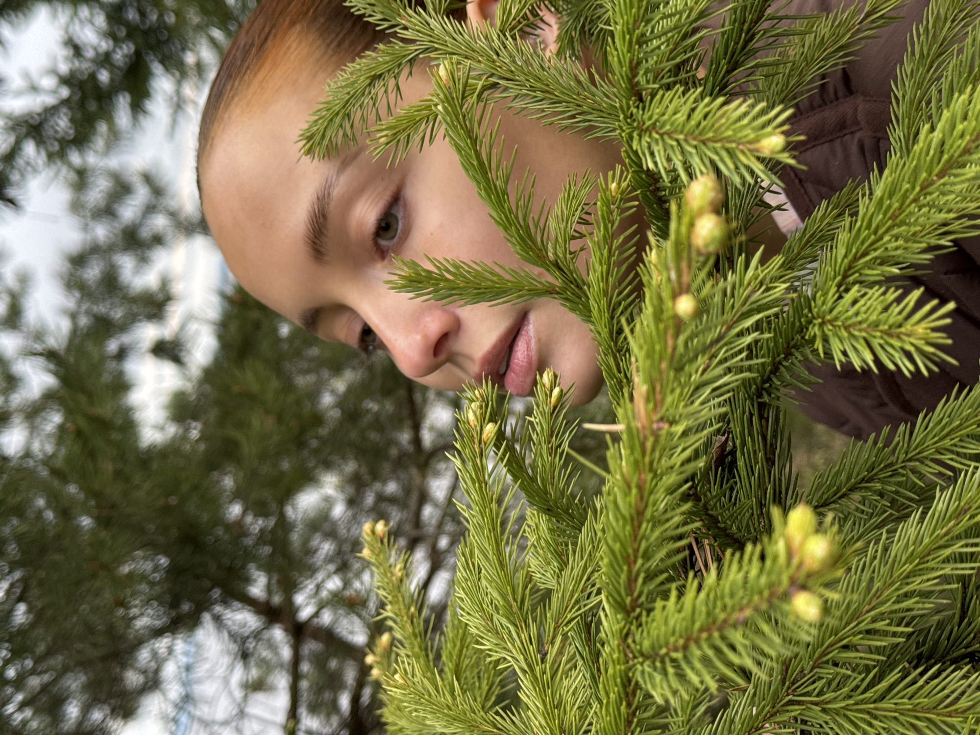 A close-up, slightly angled shot features a young person with fair skin, light brown hair, and green eyes peering down towards a pine tree. The individual's face is partially obscured by the branches of the tree, which are bright green and in sharp focus. The person is wearing a brown jacket. In the background, out-of-focus trees and a hint of the sky are visible. The location is Chastyye, Russia.
