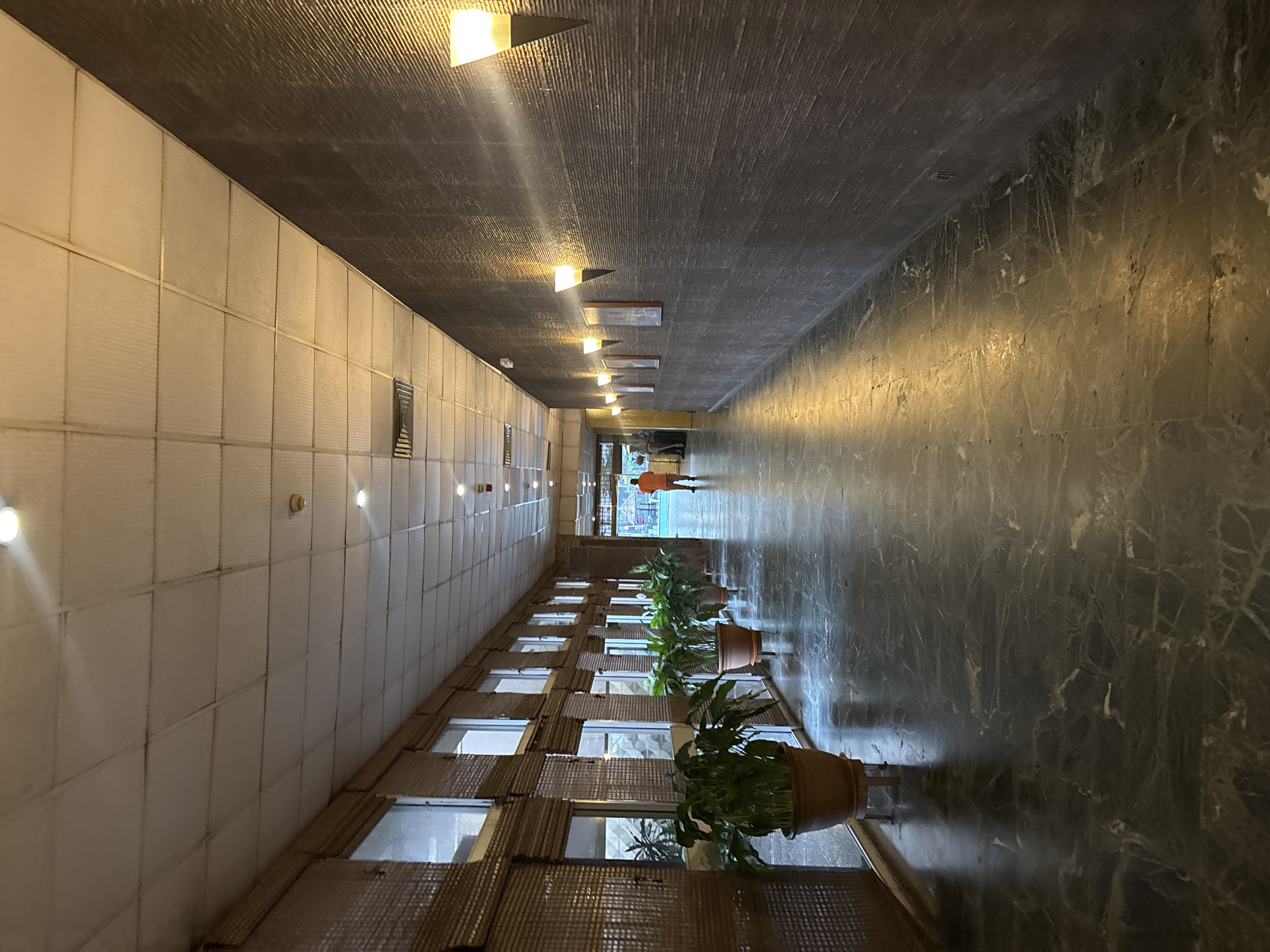 The image depicts a long, indoor hallway in Rumuepirikom, Nigeria. The left wall has a grid-like pattern with windows; plants in pots are positioned along this wall. The right wall is a dark, marble-like surface. The ceiling is also dark, featuring recessed lights. In the distance, a person wearing an orange shirt walks away at the end of the hallway.