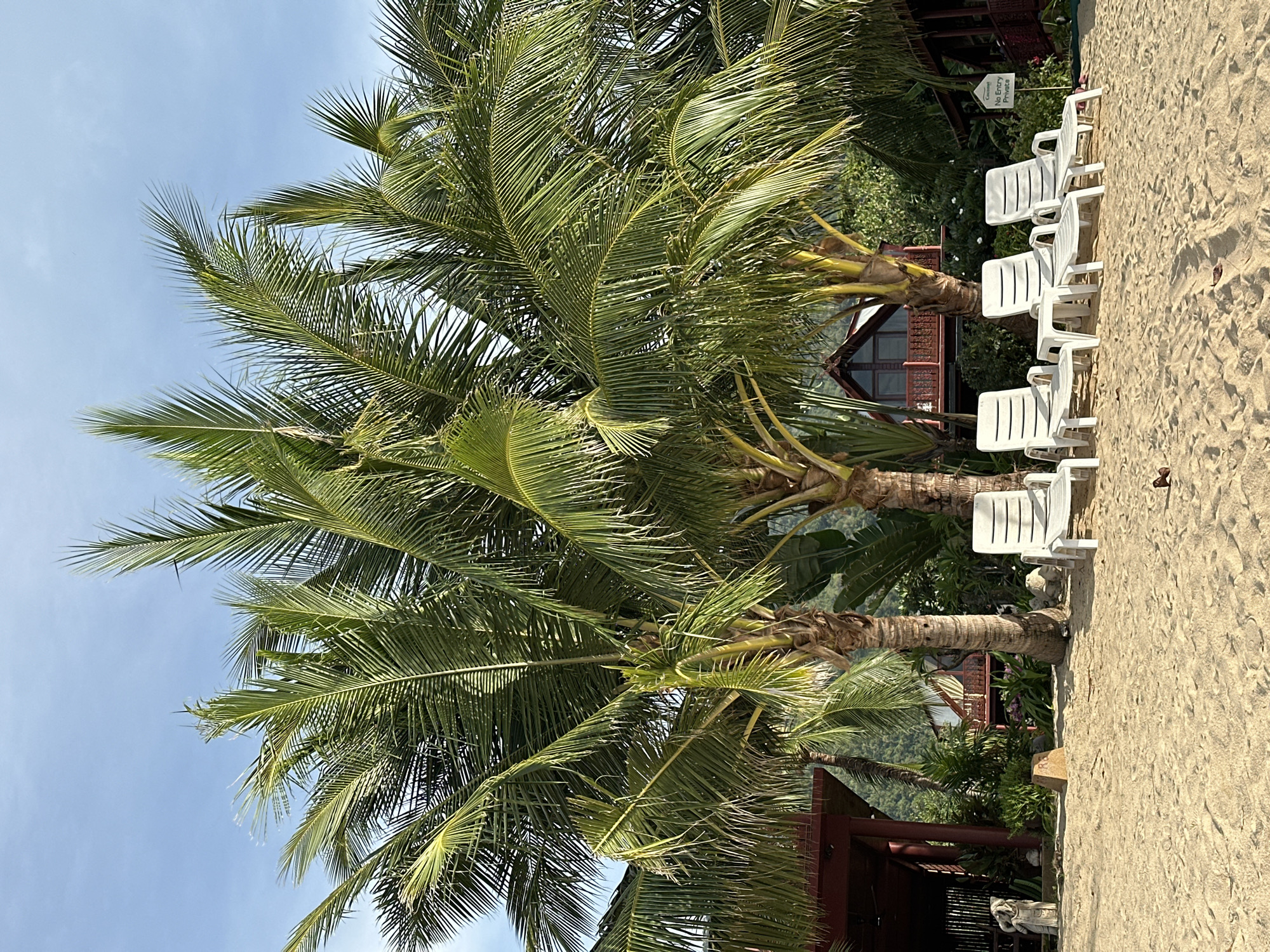 The image shows a tranquil beach scene in Ko Samui District, Thailand, under a clear blue sky. In the foreground, several white plastic lounge chairs are neatly arranged on the sandy beach, inviting relaxation. Behind the chairs, lush palm trees with their characteristic fronds dominate the frame, creating a tropical ambiance. In the background, traditional wooden bungalows with red accents are nestled amongst the greenery, suggesting a resort or private accommodation. The overall impression is one of a serene and picturesque tropical getaway, likely a resort in the Ko Samui District of Thailand.