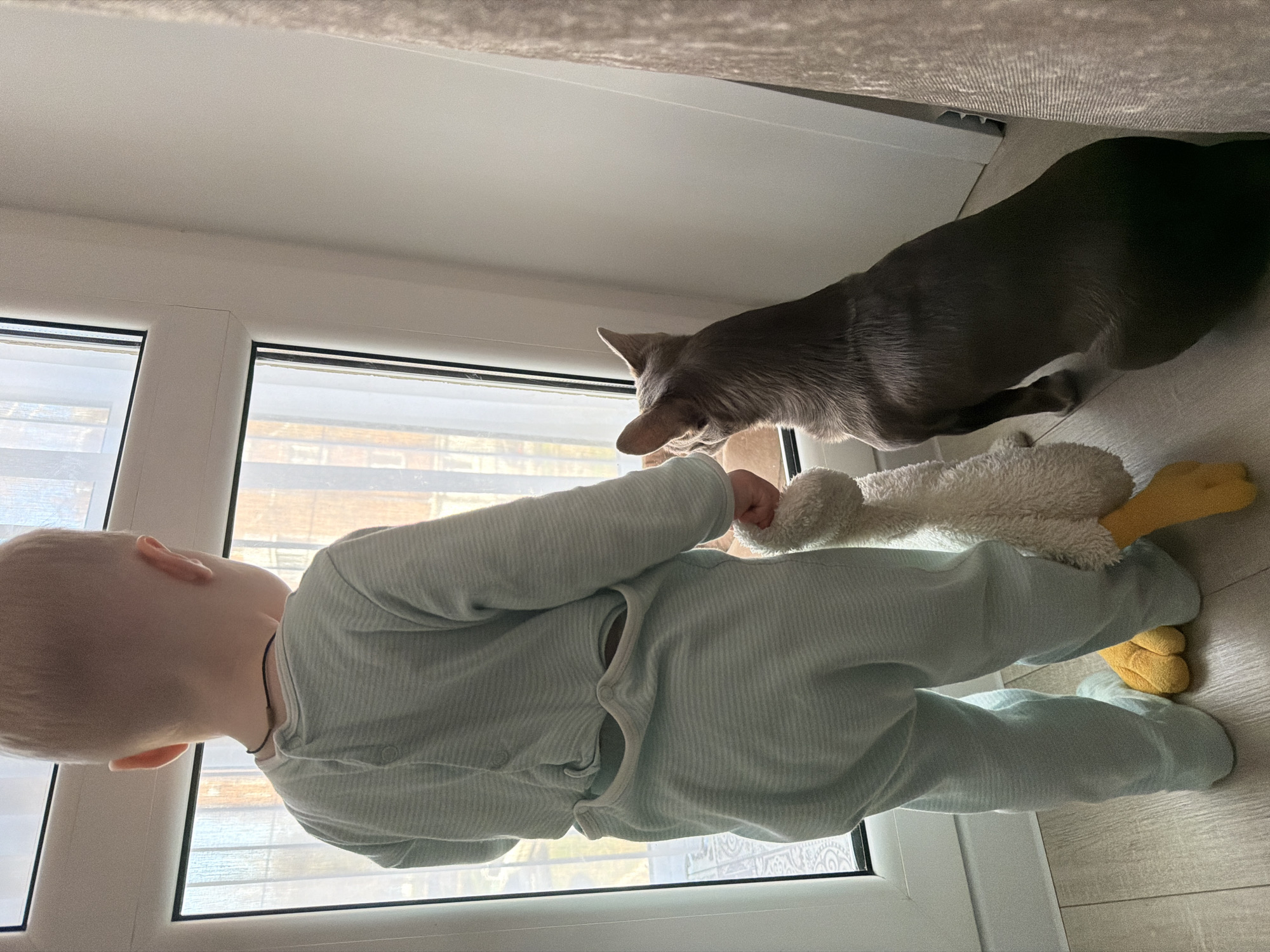 A toddler in a light blue pajama-style jumpsuit stands by a window with a white frame. The child is holding a plush toy, appearing to be a goose or duck, which has yellow feet and a light-colored fluffy body. A gray cat is partially visible next to the child, seemingly looking out the window. The scene is indoors, with light-colored flooring. No specific information indicates that this photo was taken in Votkinsk, Russia.