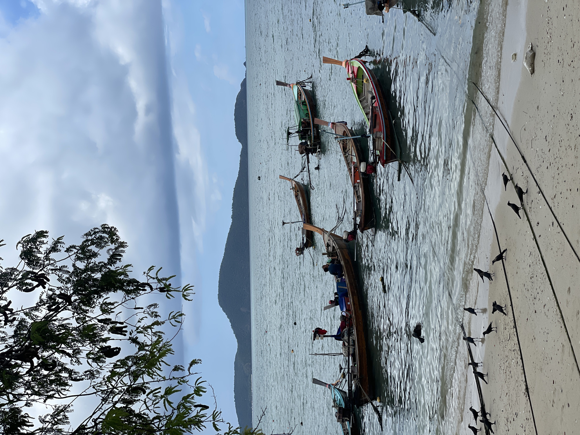 The image depicts a coastal scene in Rawai, Thailand, showcasing several traditional longtail boats anchored near the shore. The boats, various in color and size, are a central element, with some appearing to carry passengers. In the background, a mountainous landscape stretches into the horizon, while the sky is partly cloudy. The shoreline is sandy, with birds scattered across the beach. A tree with dark foliage occupies the left foreground. The overall scene suggests a typical day in a coastal area, with the boats likely used for transportation or tourism.