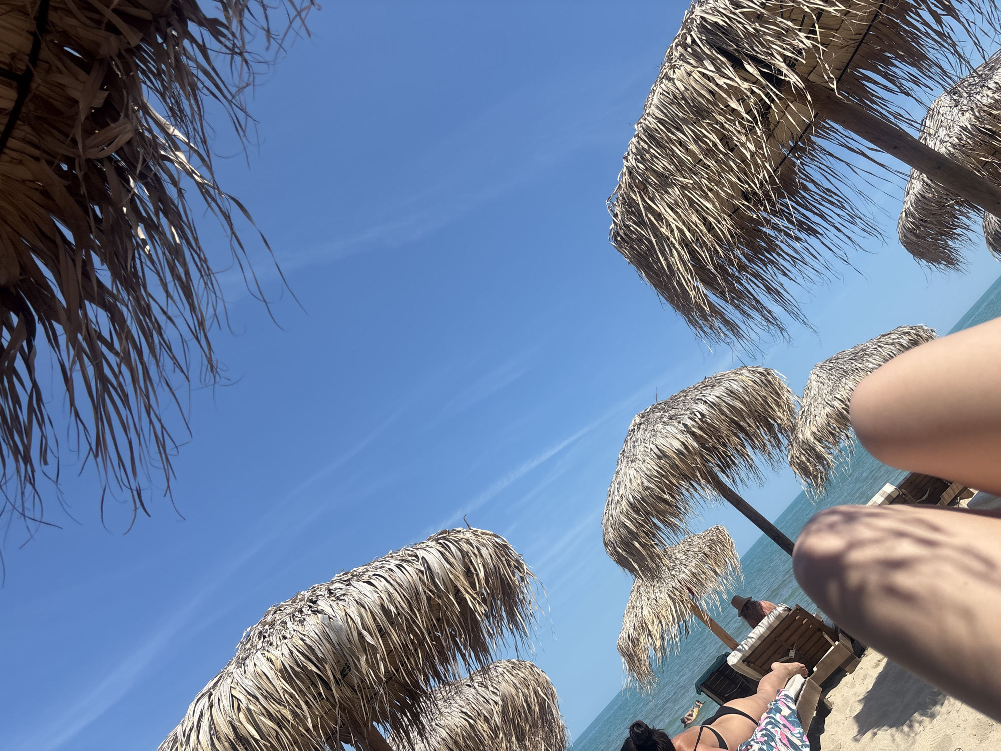 The image presents a low-angle perspective of a beach scene in Kranevo, Bulgaria. In the immediate foreground, the bare lower thighs and knees of two human legs are prominently displayed, positioned at the bottom center of the frame, with shadows cast upon the skin.
The midground reveals a sandy beach furnished with multiple straw-thatched beach umbrellas, characterized by their dry, fibrous canopies. Several of these canopies, particularly one in the top-right and another occupying the top-left, are closely framed, with their fringes appearing to sway slightly. Beneath the umbrellas, wooden sun loungers with light-colored cushions are arranged.
To the left, a person reclines on a sun lounger, wearing a black bikini top and patterned bottoms, with dark hair tied in a bun. Further back and to the right, another individual wearing a sun hat is partially visible on a separate lounger. In the distance, a person is seen in the calm, blue-green sea, potentially on an inflatable.
The horizon line separates the sea from a clear, bright blue sky that fills the upper portion of the image. Faint, linear white contrails are visible against the blue expanse of the sky.
