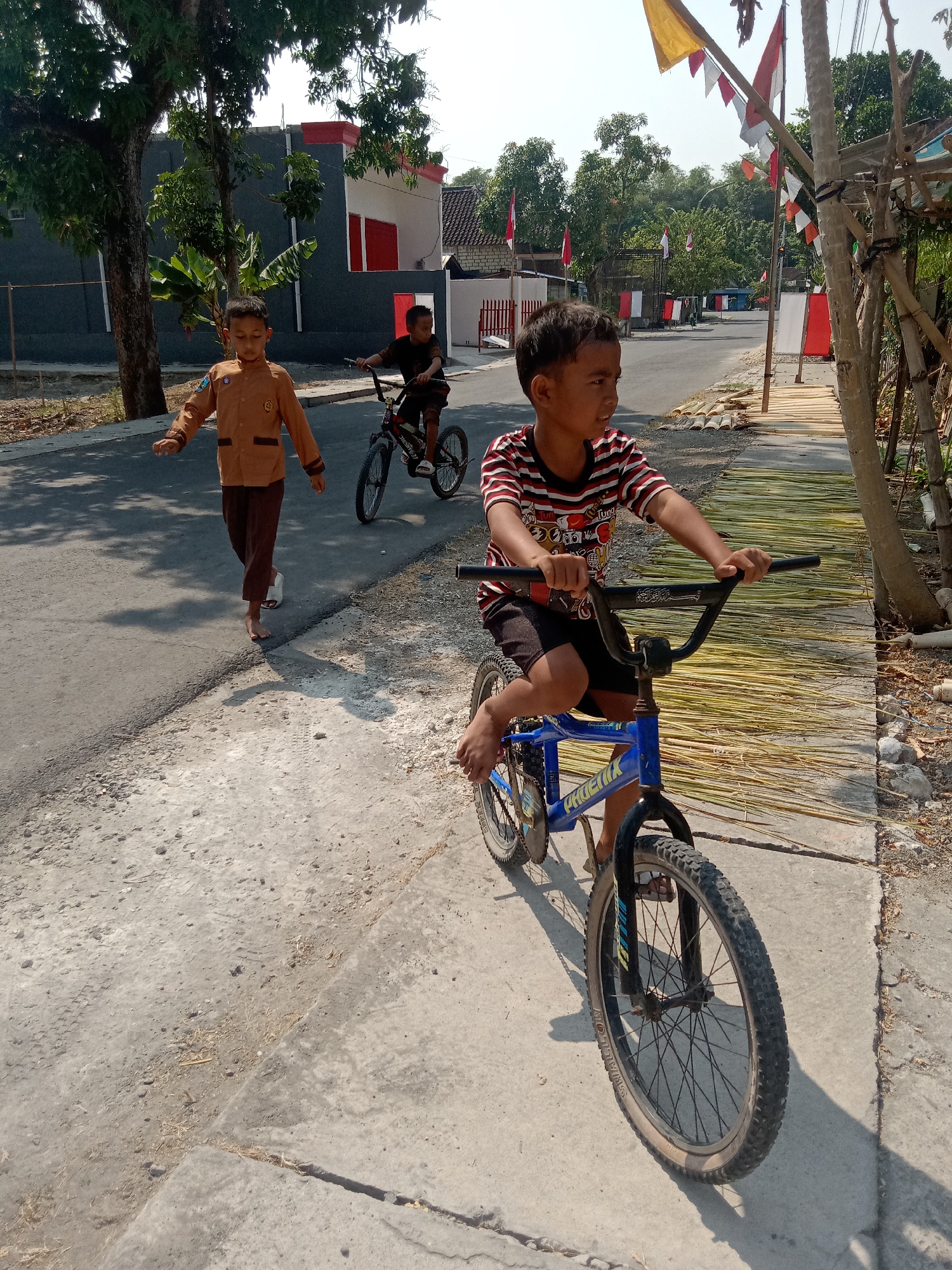 In Stiaji, Indonesia, three young boys are engaged in outdoor activities on a sun-drenched, paved street. The foremost boy, wearing a red, white, and black striped t-shirt and black shorts, is seated on a blue BMX bicycle, his hands gripping the handlebars. To his left, another boy in a brown uniform, possibly a school uniform, is walking barefoot on the asphalt. Behind him, a third boy on a black bicycle is also riding. The background features a residential area with houses, some adorned with Indonesian flags, suggesting a celebratory or national occasion. Trees line the street, and bundles of what appear to be dried grass or reeds are laid out on a wooden structure along the side of the road, potentially for drying or processing. The overall scene depicts a typical day of childhood recreation in a semi-rural Indonesian setting.