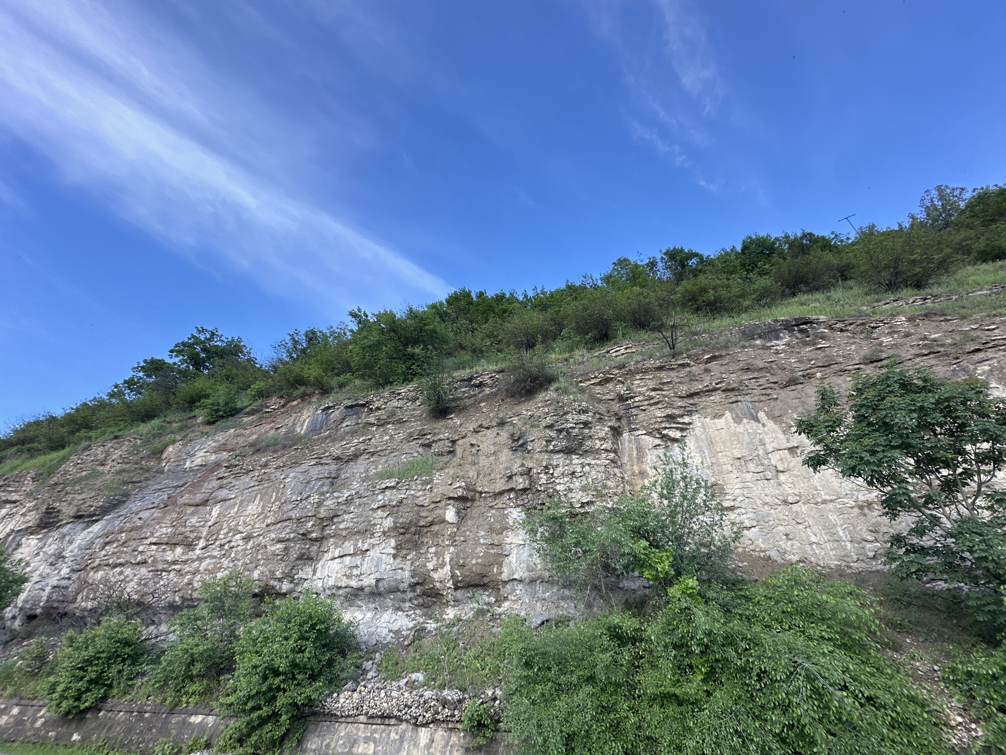 The image depicts a rock face, likely a quarry or road cut, covered with vegetation. The cliff is layered and textured, showing different strata of rock. At the top, a line of trees and shrubs grows. The foreground features more dense greenery with larger bushes and trees. Above, the sky is blue with wispy clouds. The location is possibly in or near Lovech, Bulgaria, given the implied geographical context.