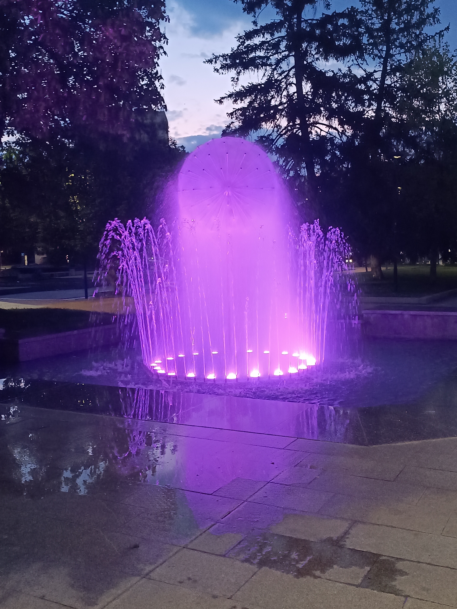 The image shows a beautifully illuminated fountain at night in Pleven, Bulgaria. The central subject is a multi-tiered water fountain, emitting a striking purple light. The main part of the fountain features a large, spherical or dome-like spray pattern at its top, with numerous fine jets of water arching outwards and downwards. Below this, a circular array of individual water streams shoots upwards from embedded light fixtures, intensely illuminating the water in shades of violet.
The water collects in a dark basin, reflecting the luminous purple hues. The surrounding ground is paved with dark, rectangular tiles, some appearing wet and mirroring the fountain's glow. In the background, silhouetted against a twilight sky, are dense trees. The sky shows a gradient from blue-grey with clouds at the top to a darker night sky, indicating the evening hour. The setting appears to be a public park or plaza, characterized by the prominent fountain and surrounding greenery.
No people are visible, creating a peaceful and somewhat ethereal atmosphere in this public space. No text is visible in the media file.