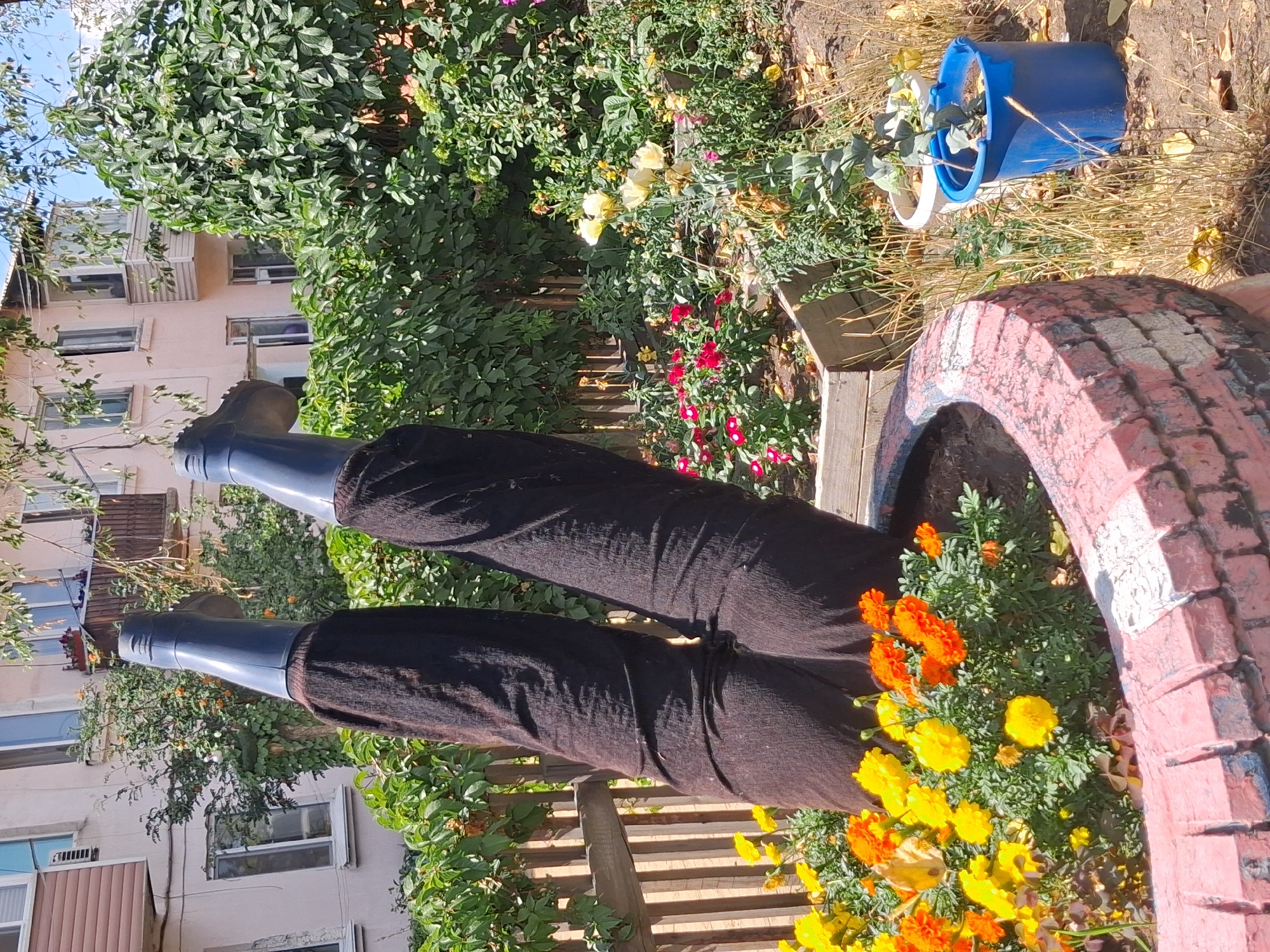 An outdoor scene in the city of Semey, Kazakhstan, features a whimsical garden display. The central focus is on a pair of dark-colored pants and dark boots, seemingly belonging to someone in an inverted position, with legs extending upwards from a planter. The planter itself is constructed from what appears to be a repurposed tire, painted with pink and white brick-like patterns. It is filled with vibrant yellow and orange marigolds and other smaller flowers. Behind the planter, a wooden fence divides the yard, with green foliage and trees forming a backdrop. In the distance, a light-colored apartment building with balconies and windows is visible, suggesting an urban residential setting. The ground is covered with dry grass and fallen leaves, indicating a warm, possibly late summer or early autumn day. A blue bucket and a white pot containing plants are also present to the right of the main display. The overall impression is one of creative and playful garden decoration.