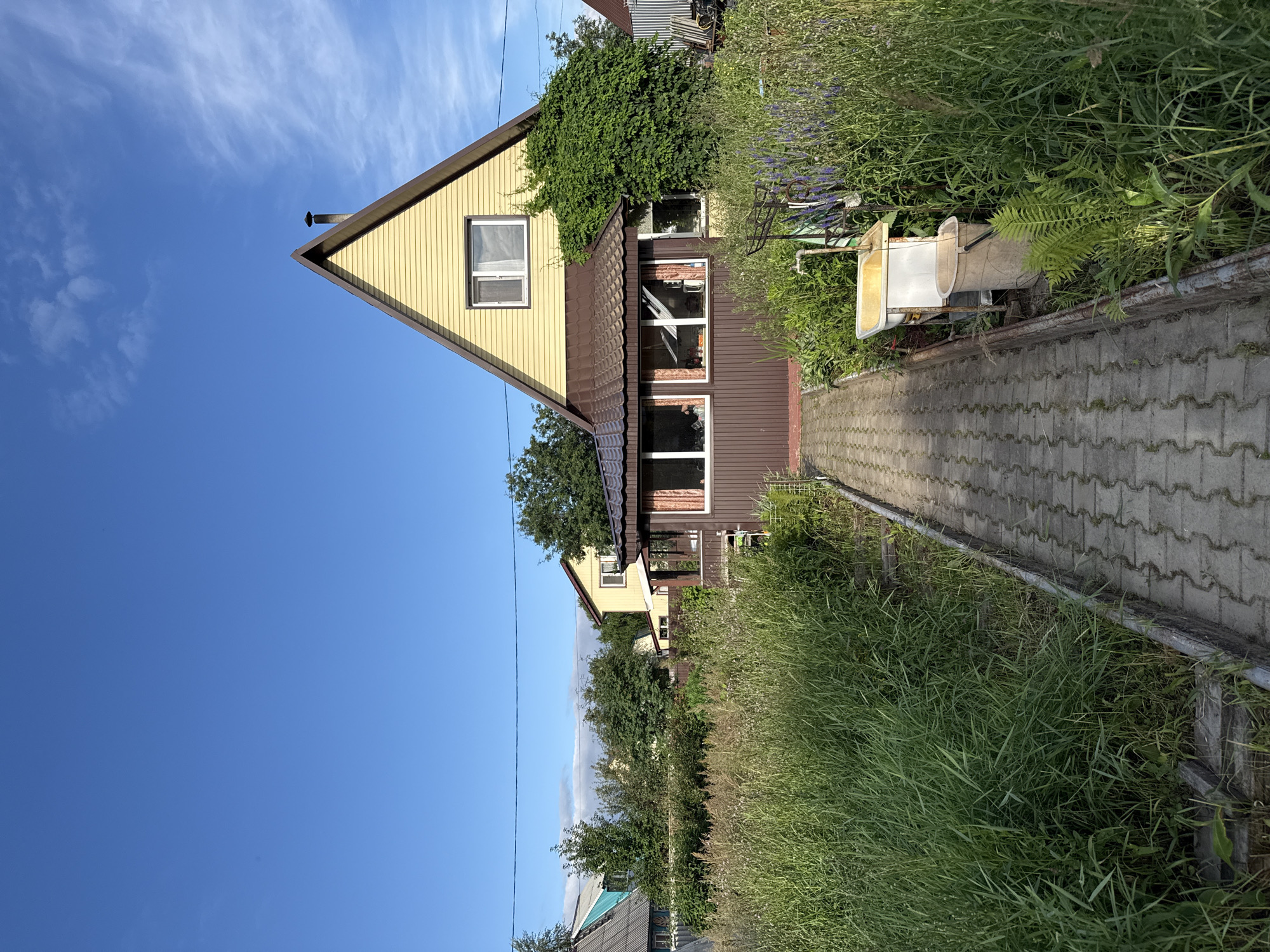 A front-facing, eye-level, medium shot captures a sun-drenched, two-story house in Solnechnyi, Russia. The house, clad in yellow siding with a brown, shingled roof, features a prominent triangular gable and a small chimney. A covered porch with large windows extends from the front of the house. Lush, overgrown green grass and foliage surround the property, with a paved walkway leading towards the house. In the foreground, on the right side of the walkway, a white sink with a faucet and a light-colored bucket are visible. The sky above is a clear, vibrant blue with a few wispy clouds. The scene conveys a sense of rural tranquility.
