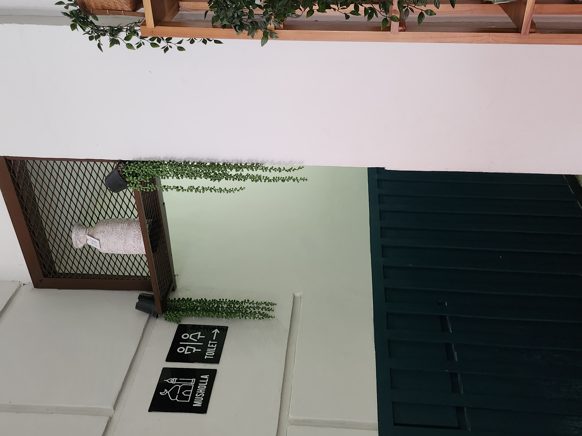The image depicts a clean, modern interior space, possibly a cafe or public building in Depok, Indonesia, based on the context provided. Two black rectangular signs are mounted on a white wall. The left sign features a white outline of a mosque and the text "MUSHOLLA" below it, indicating a prayer room. To its right, a sign displays white icons of a male and female figure, accompanied by the text "TOILET" and an arrow pointing to the right, signifying the direction to the restrooms.
Above the signs, a dark metal shelf with a wire mesh front holds a decorative white vase. From the shelf, artificial green vines hang down, creating a cascading effect. Another black pot with similar green vines is placed precariously on the edge of the shelf, with the vines spilling out.
The lower portion of the wall features a dark green, vertical slatted panel, providing a contrasting texture and color. To the right of the white wall, a light-colored wooden shelving unit is visible, adorned with more artificial green plants. The overall impression is one of a well-maintained and aesthetically pleasing environment. There are no people or animals visible in the frame.