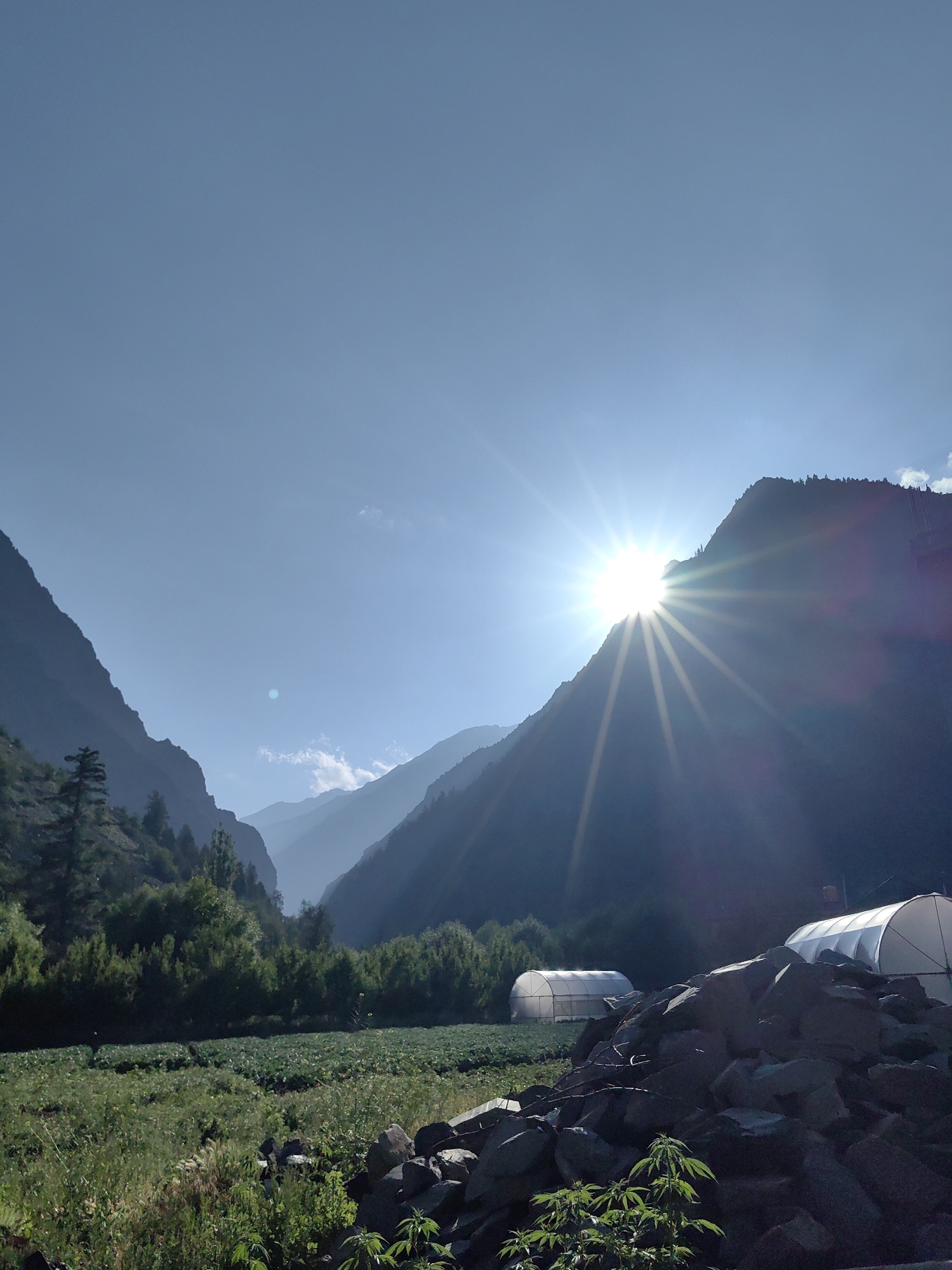 This is a landscape photograph taken in a rural mountainous region, not Udaipur, India. The sun is setting behind a mountain on the right side of the frame, casting long shadows and creating a starburst effect. In the foreground, there is a field of green crops, bordered by a pile of dark rocks on the right and dense trees on the left. Two white polytunnels are visible in the middle ground, suggesting agricultural activity. The sky is clear and blue, with a few faint clouds. The overall scene depicts a serene and natural environment.