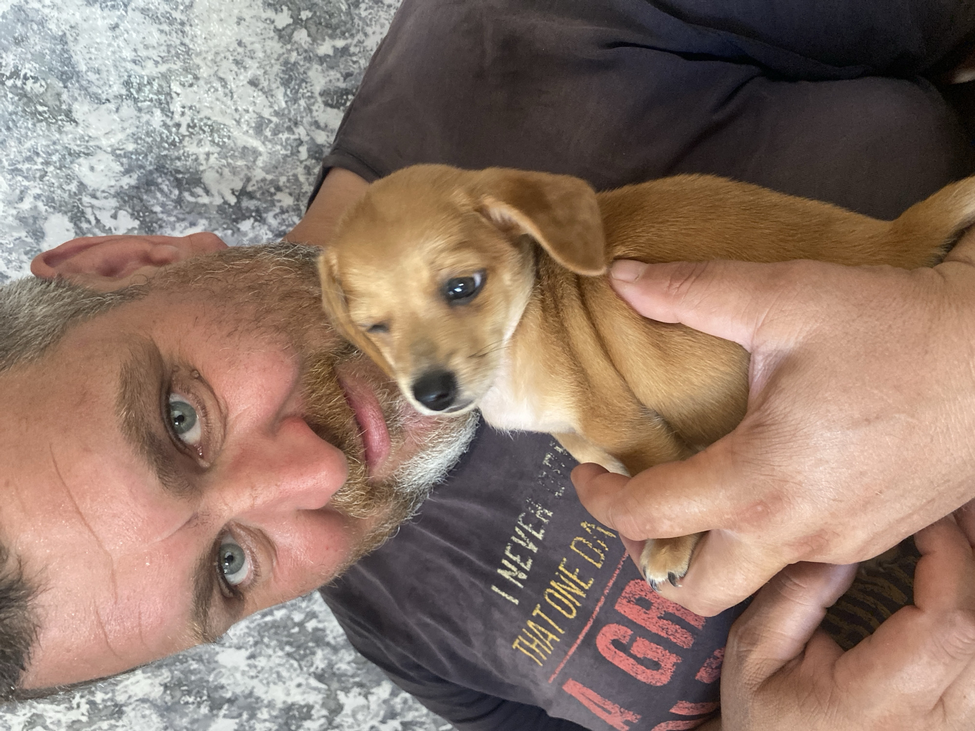 A man with a beard and light blue eyes is holding a small, light brown puppy. The man is wearing a dark t-shirt with faded text on it. The puppy is looking over the man's shoulder. They are indoors, with a textured, grey and white wall in the background. The image appears to be a casual snapshot, likely taken in a residential setting. No specific location in Dnipro, Ukraine is indicated.