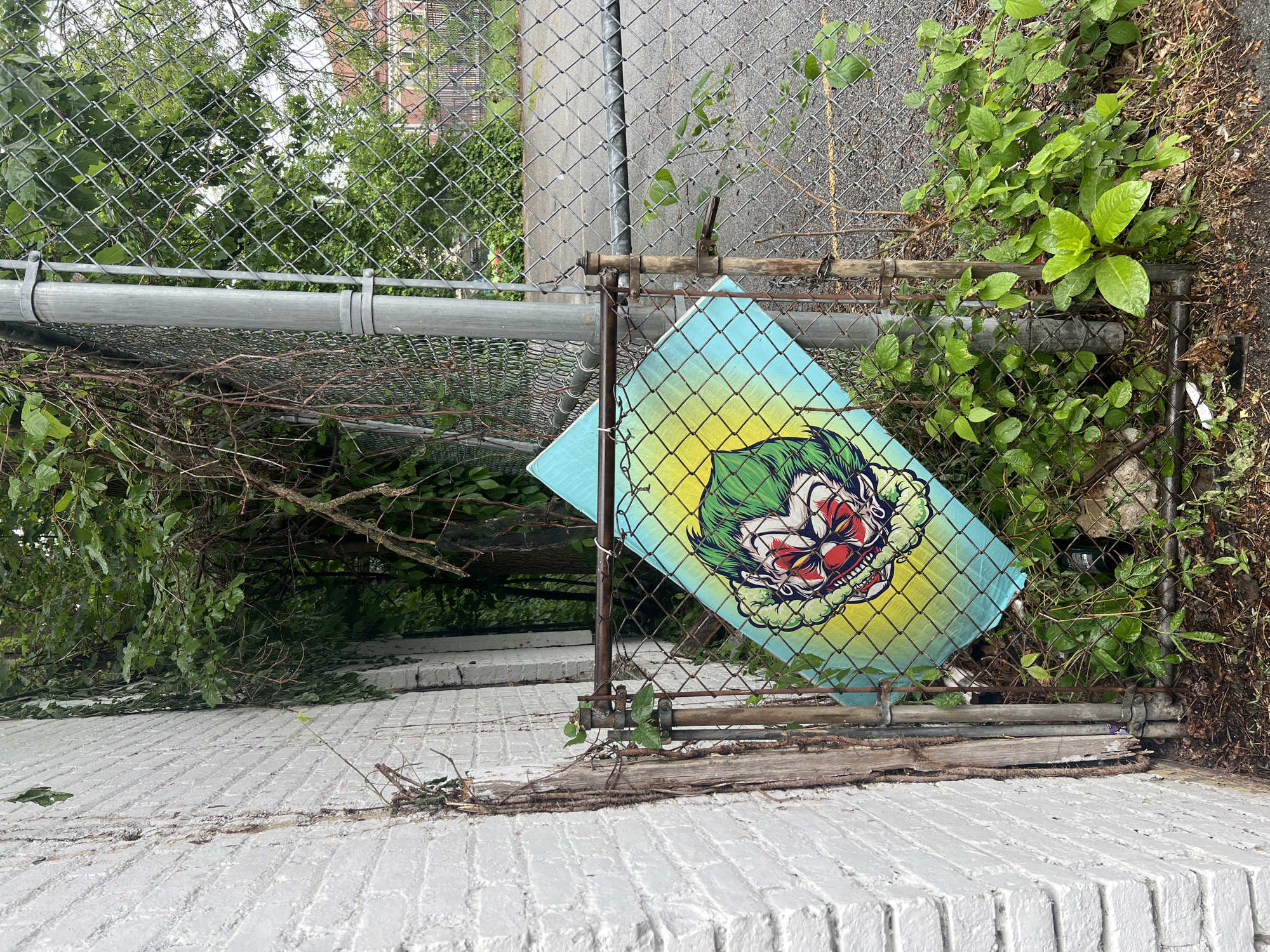 The image shows a section of a chain-link fence located in an urban area, likely in the City of Newburgh, United States of America. A square of the fence is partially covered by a colorful fabric or sign with an image resembling a clown or a character with green hair, a skull-like face, and red details. The fence appears weathered, with some rust and overgrown vegetation clinging to it. The surface beneath the fence is a white-painted brick wall. The surrounding environment is overgrown, with branches and foliage draping over the fence and the brick wall.