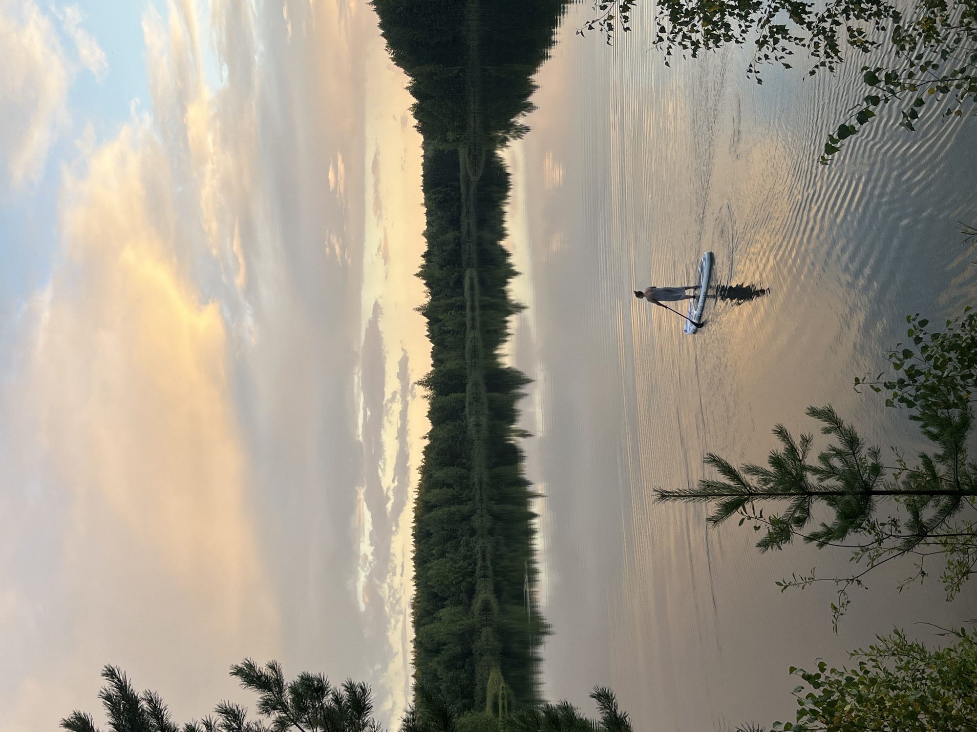 An individual stands on a paddleboard in a serene lake, facing away from the camera. The paddleboarder is dressed in a light-colored garment. The lake's surface is calm, reflecting the surrounding lush green forest and the soft hues of a sunset sky, which features a blend of pale orange, pink, and blue clouds. The scene is framed by the dark silhouettes of trees and foliage in the foreground. The location is identified as Novyi, Russia, suggesting a natural, possibly rural or recreational setting.