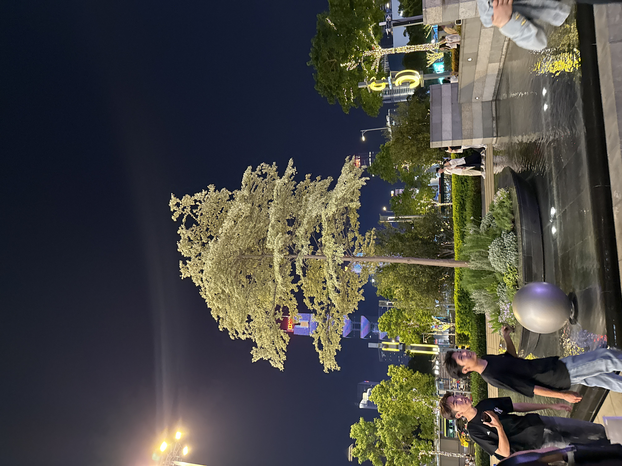 An outdoor night scene captures a vibrant public space, likely a park or plaza, illuminated by numerous artificial lights. The setting is in Tianhe District, China.
In the foreground, two young men are visible on the right side. Both are wearing black t-shirts and jeans; the man on the left holds a smartphone. They appear to be standing beside a dark, reflective water feature, possibly a fountain or pool, and are looking towards the left with smiles or expressions of engagement. Near them, a large, metallic-silver spherical object rests at the edge of the water.
Dominating the midground is a tall, slender tree with light-colored, dense foliage, brilliantly illuminated from below, making its leaves appear almost white or golden against the dark night sky. Other green trees, some adorned with string lights, frame the scene. The water feature stretches across the right side of the image, reflecting the lights from the surroundings, creating shimmering patterns on its surface.
In the background, further people can be seen sitting or standing near the water and pathways. Distant modern buildings rise against the dark sky, their windows and facades lit up. On one prominent building, illuminated red and blue Chinese characters are visible, appearing to spell "正佳" (Zhengjia), possibly part of a mall or complex name, with "MALL" potentially visible below it in smaller text. Streetlights also dot the area.
The overall atmosphere is lively and festive, with the diverse lighting creating a dynamic nighttime urban landscape.