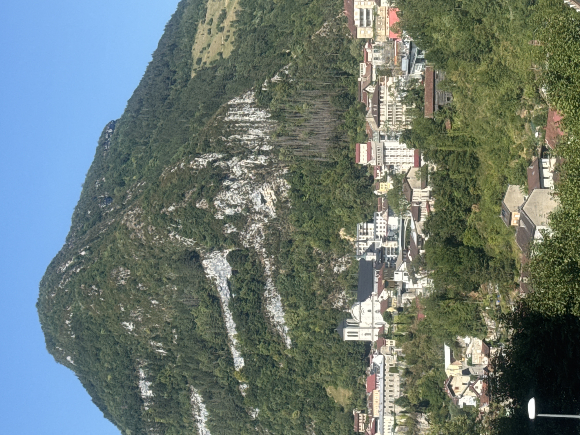 This is a vertically oriented, wide-angle photograph taken from a high vantage point, looking down and across a steep, verdant mountainside dotted with buildings. The mountain occupies the left half of the frame, its slopes covered in dense green foliage interspersed with patches of lighter-colored rock. The right half of the image reveals a town built into the mountainside. The architecture is varied, with many multi-story buildings featuring red-tiled roofs. Prominent among these is a large white church with a dark dome and bell towers. Narrow streets wind through the town, which appears to be nestled in a valley or on a steep incline. The overall scene is one of a picturesque mountain town. The sky is clear and blue, suggesting a bright, sunny day. The lighting indicates it is daytime, likely late morning or early afternoon. No people are clearly visible. The location is Saint-Claude, France.