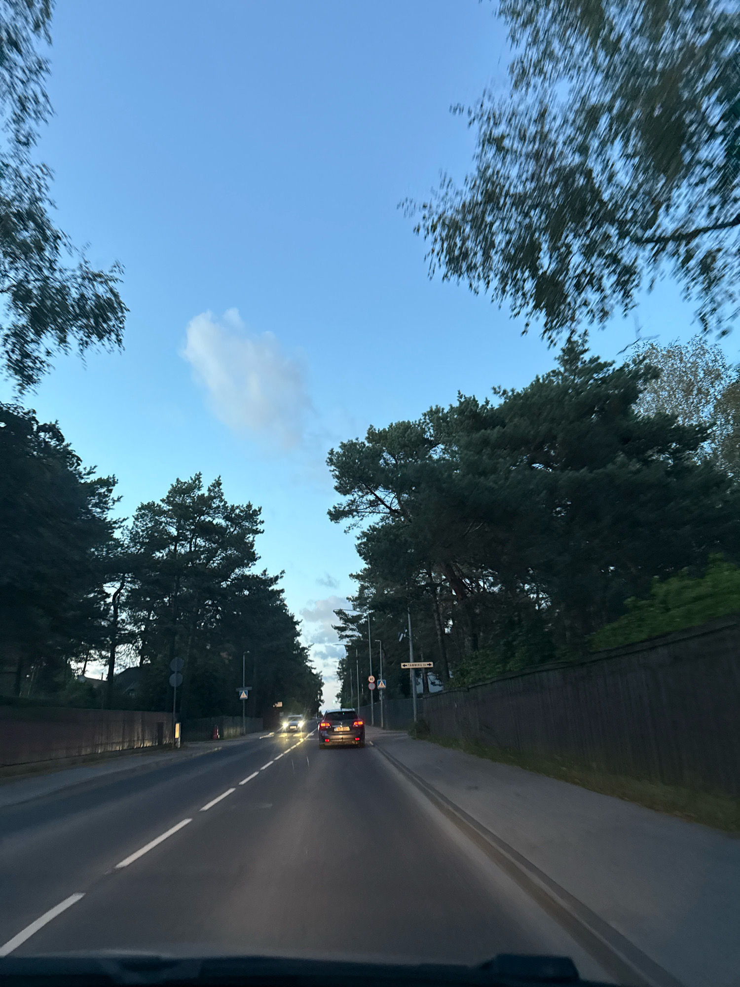 The image shows a view from a vehicle driving on a road in Tallinn, Estonia. The sky is a clear blue with a few wispy clouds. Tall trees with dark green foliage line both sides of the road. There is a wooden fence on the right side of the road. Several cars are visible on the road, with their headlights on. The road has white lane markings. A street sign pointing to "TAMMiku tee" is visible on the left side of the road. The scene appears to be from late afternoon or early evening.