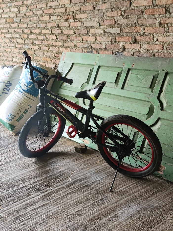 The image displays a static scene featuring a black and red bicycle, two white sacks, and a weathered light-green wooden panel, set against a brick wall and concrete floor. The bicycle, a BMX-style model, has a black frame with striking red accents on its wheel rims and pedals. Its seat is black with distinctive yellow and white stripes. The bike stands upright, supported by a kickstand, with its rear wheel resting near the old green panel, which resembles a door propped against the wall.
Behind the panel is a rough, reddish-brown brick wall with visible mortar, suggesting an aged structure. The ground is a light gray concrete surface, characterized by distinct linear grooves and texture. Two large white sacks, one partly obscured, are positioned near the front wheel of the bicycle. Visible text on these sacks includes "124P," "KG," "50 KG NET," "M-2," "PELLET," and "RUBY HG-2." Partial text on the bicycle frame can be deciphered as "VISION" and "SATURN."
The lighting in the photograph suggests it is daytime, with soft, diffused light illuminating the scene, indicating an indoor or covered outdoor area. No people are present, and no specific event is taking place. The overall setting has a rustic, utilitarian feel, consistent with a storage area or workshop in Selagai Lingga, Indonesia.