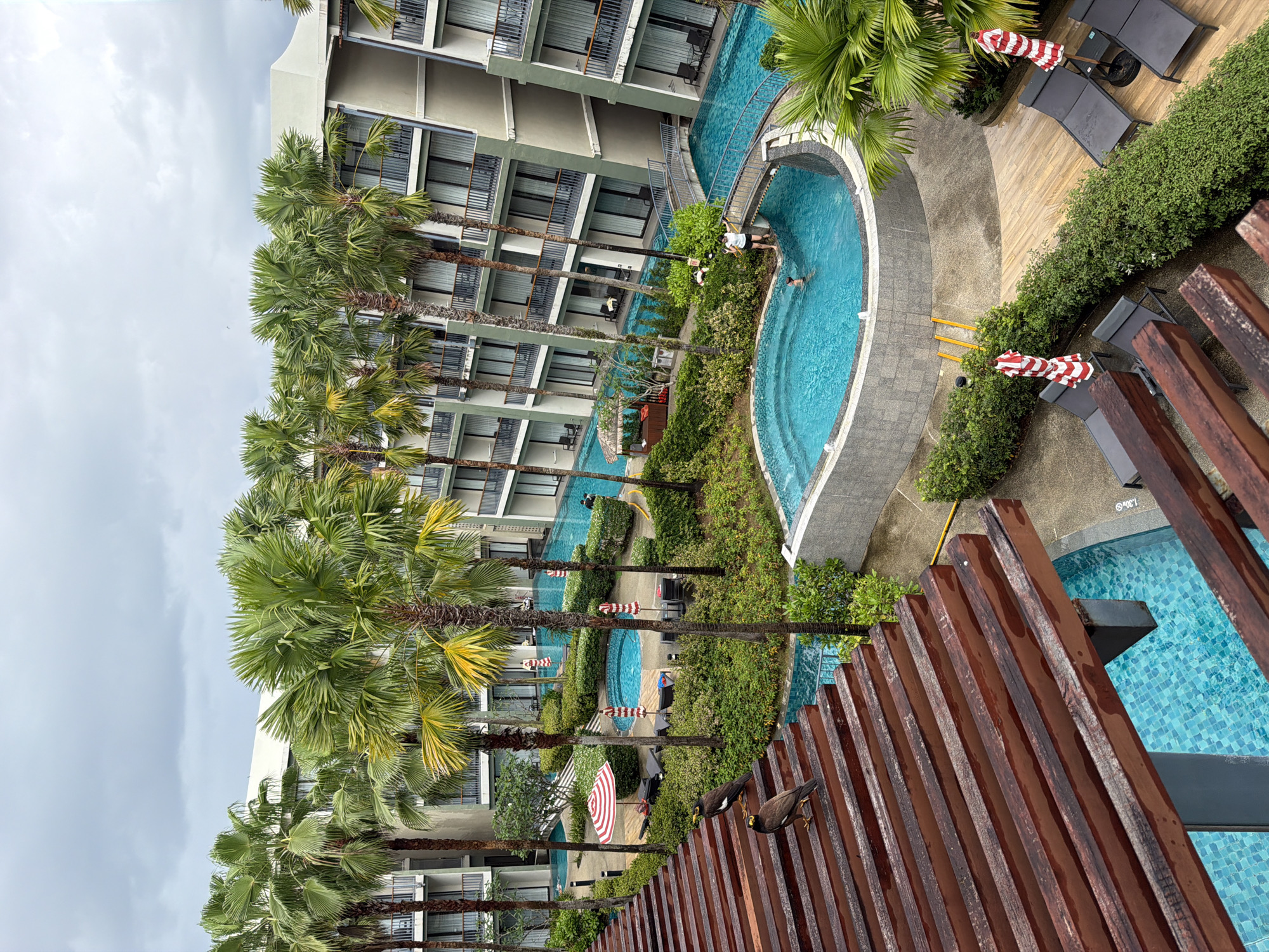 In Bang Muang, Thailand, an aerial view captures a resort courtyard on an overcast day. Lush green palm trees line the sides of multiple-story buildings with balconies. A winding pool system with turquoise water is a prominent feature, with a smaller, circular plunge pool at its center. Two people are visible in the pool, one swimming and another standing near a small bridge that crosses the water. Red and white striped umbrellas dot the area, providing shade over lounge chairs. In the foreground, two birds perch on a wooden pergola structure that extends over another section of the pool. The overall scene suggests a tropical vacation setting.