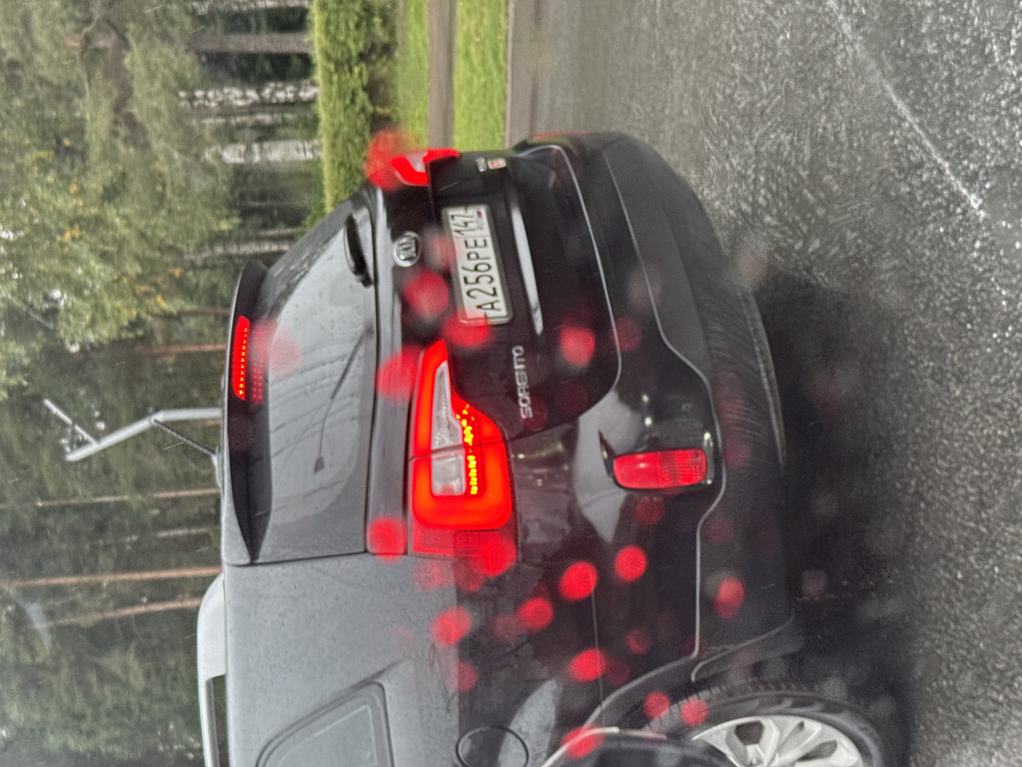 The image shows the rear view of a black Kia Sorento car parked on a wet, grey asphalt road, likely in Saint Petersburg, Russia. The car's license plate reads "A256PE 147". Raindrops are visible on the car's surface, and red bokeh effects from taillights are prominent. The background consists of a dense line of green trees and some taller, thin trees, suggesting a park or a forested area within the city. The lighting indicates an overcast day.