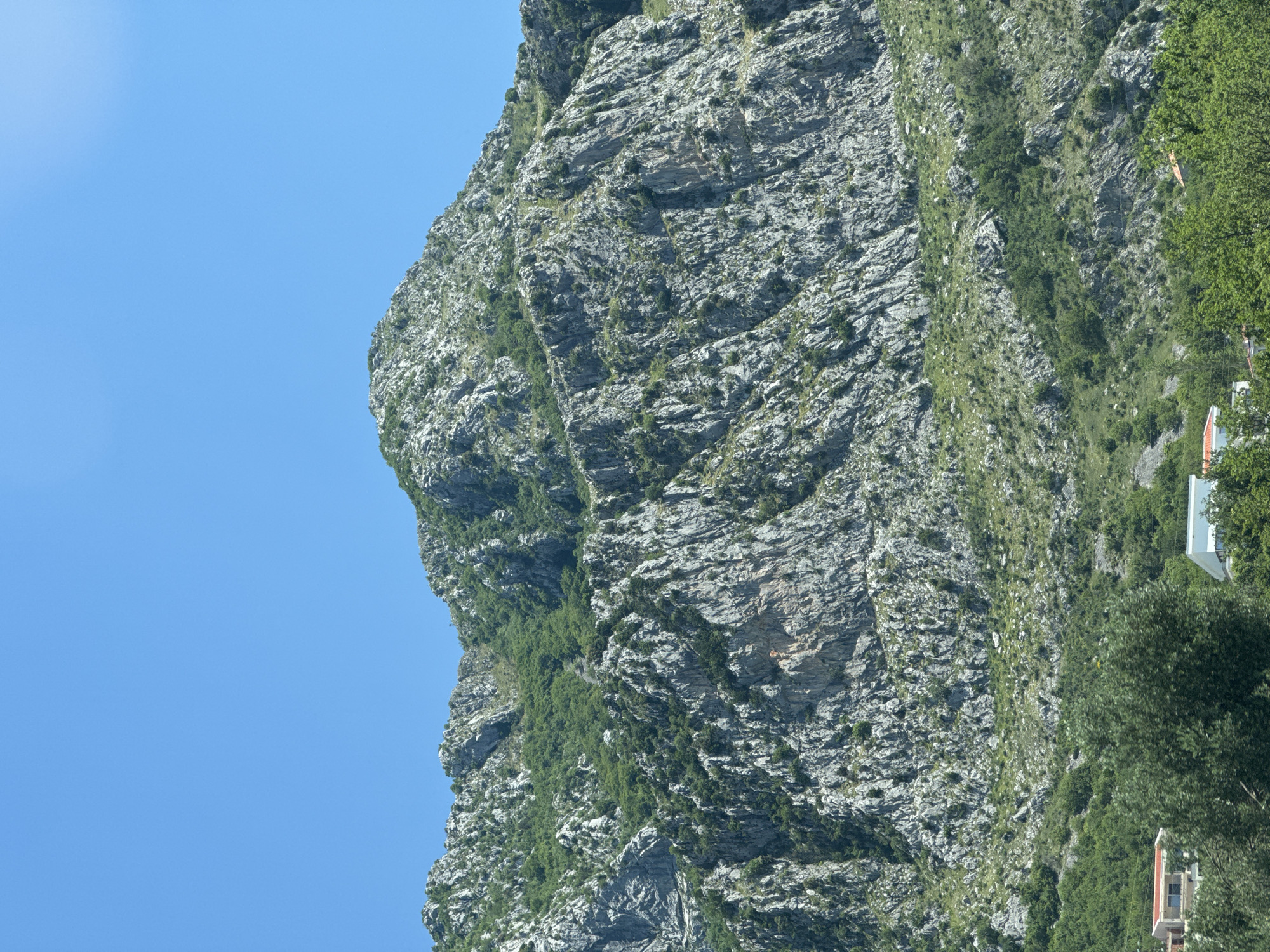 The image presents a close-up view of a mountainside in Blizikuće, Montenegro, with a predominantly rocky terrain. The rocks are light grey and feature numerous crevices and ridges. Sparse vegetation, including small trees and shrubs, grows on the mountainside, particularly in the crevices and along the edges. The sky is a clear, bright blue, contrasting with the grey rocks. On the right edge of the frame, there are few trees and houses.