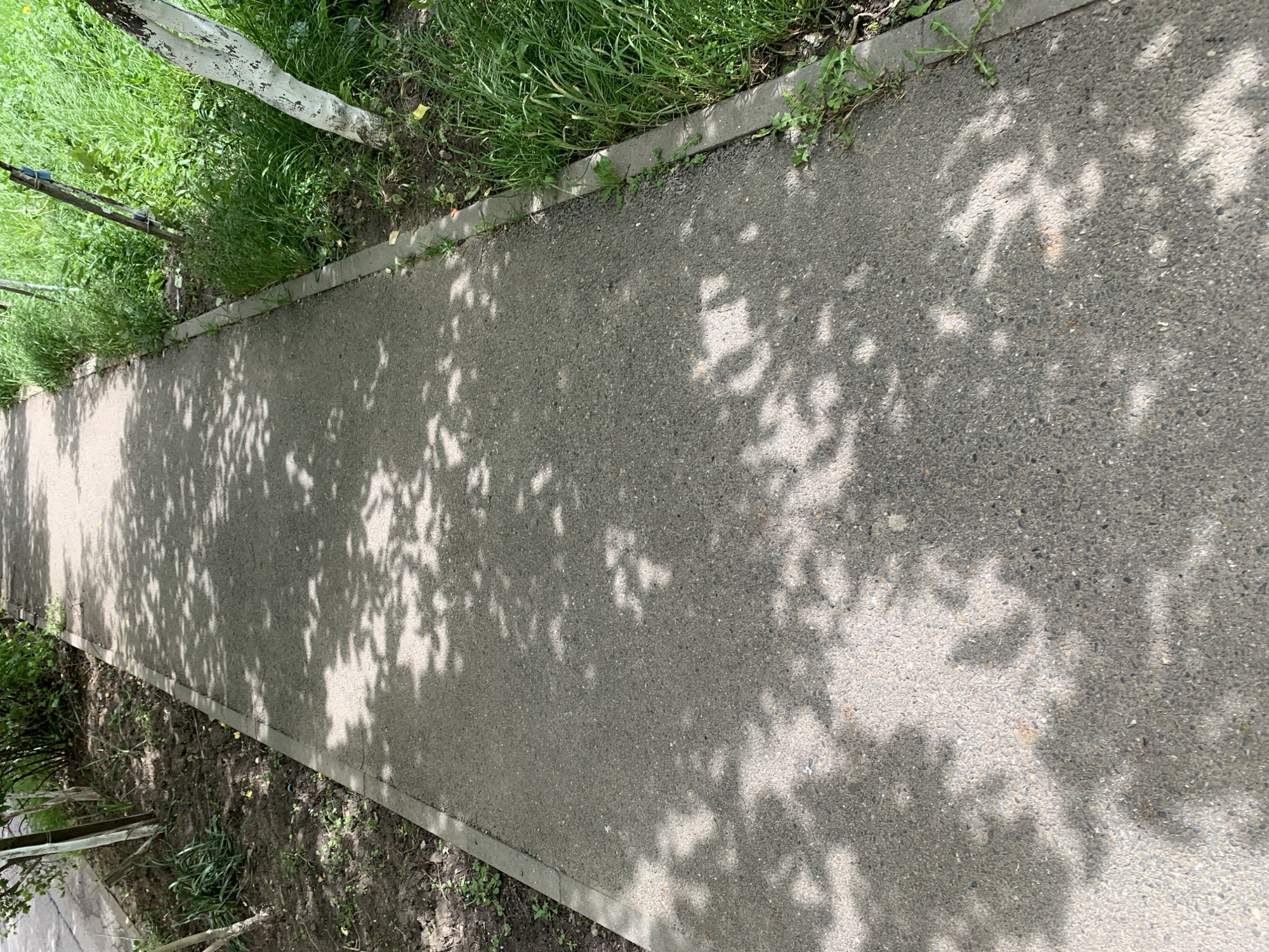 A sunlit paved pathway is depicted in Stavropol, Russia, extending into the distance from a slightly elevated perspective. The path is constructed from a dark grey aggregate material, resembling asphalt, and is flanked on both sides by a narrow concrete or stone curb.
To the left of the path, a vibrant strip of green grass and uncultivated soil is visible. This area features scattered weeds, darker patches of dirt, and the lower trunk of a tree, which is partially painted white. Other small plants and a support stake for a young tree can also be discerned within this verdant border. The right side of the path similarly shows a strip of earth and some vegetation, albeit less distinctly than the left.
The most prominent detail in the image is the complex pattern of dappled shadows cast across the pathway and its immediate surroundings. These shadows, characteristic of tree foliage, indicate bright, clear daytime weather with direct sunlight. No individuals, animals, or specific activities are present, lending the scene a tranquil and still ambiance. The time of day appears to be either morning or late afternoon, given the angle and definition of the shadows. There is no visible text in the image.