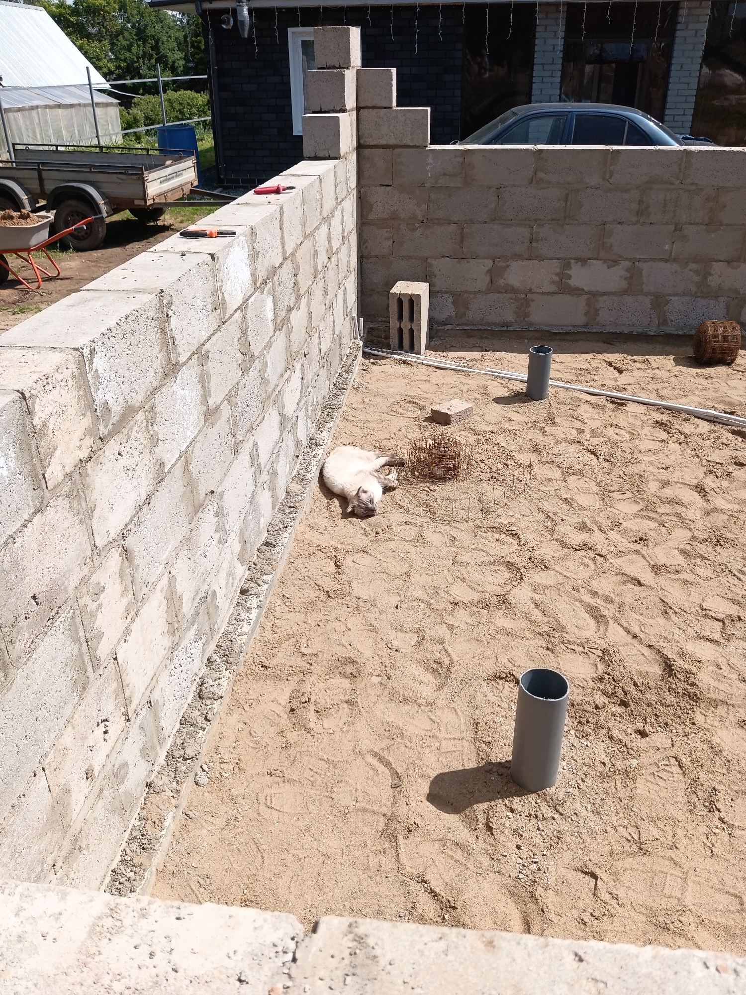 This image captures a construction site in Фоки, Russia, under bright daylight. The scene is dominated by the partial construction of a structure, likely a foundation or an initial wall, made of light-grey concrete blocks. These walls form an open-topped enclosure, within which the ground is covered in light-brown sand showing numerous shoe prints.
In the center of the sandy area, a light-colored cat with Siamese-like markings is resting on its left side, appearing relaxed. Near the cat is a small, cylindrical piece of rebar or metal mesh. Other construction materials are scattered across the sand: several grey PVC pipes, some laid horizontally and two standing upright, one casting a distinct shadow; a single red brick; a hollow concrete block; and a larger roll of metal mesh positioned in the upper right. On top of the left wall, two hand tools, one with an orange handle and one with a red handle, are placed.
Beyond the constructed walls, the background reveals further details of the environment. To the left, a utility trailer loaded with dirt is parked next to a partially visible orange wheelbarrow. Behind them, a white-roofed structure, possibly a greenhouse or shed, is visible, along with a blue barrel and lush green trees under a clear sky. To the right, a dark-colored house with a prominent white-framed window is partially visible, featuring string lights draped across its facade. A dark-colored sedan is also partially visible behind the right wall, suggesting it is parked behind the house or on an adjacent property. No people are present in the image.