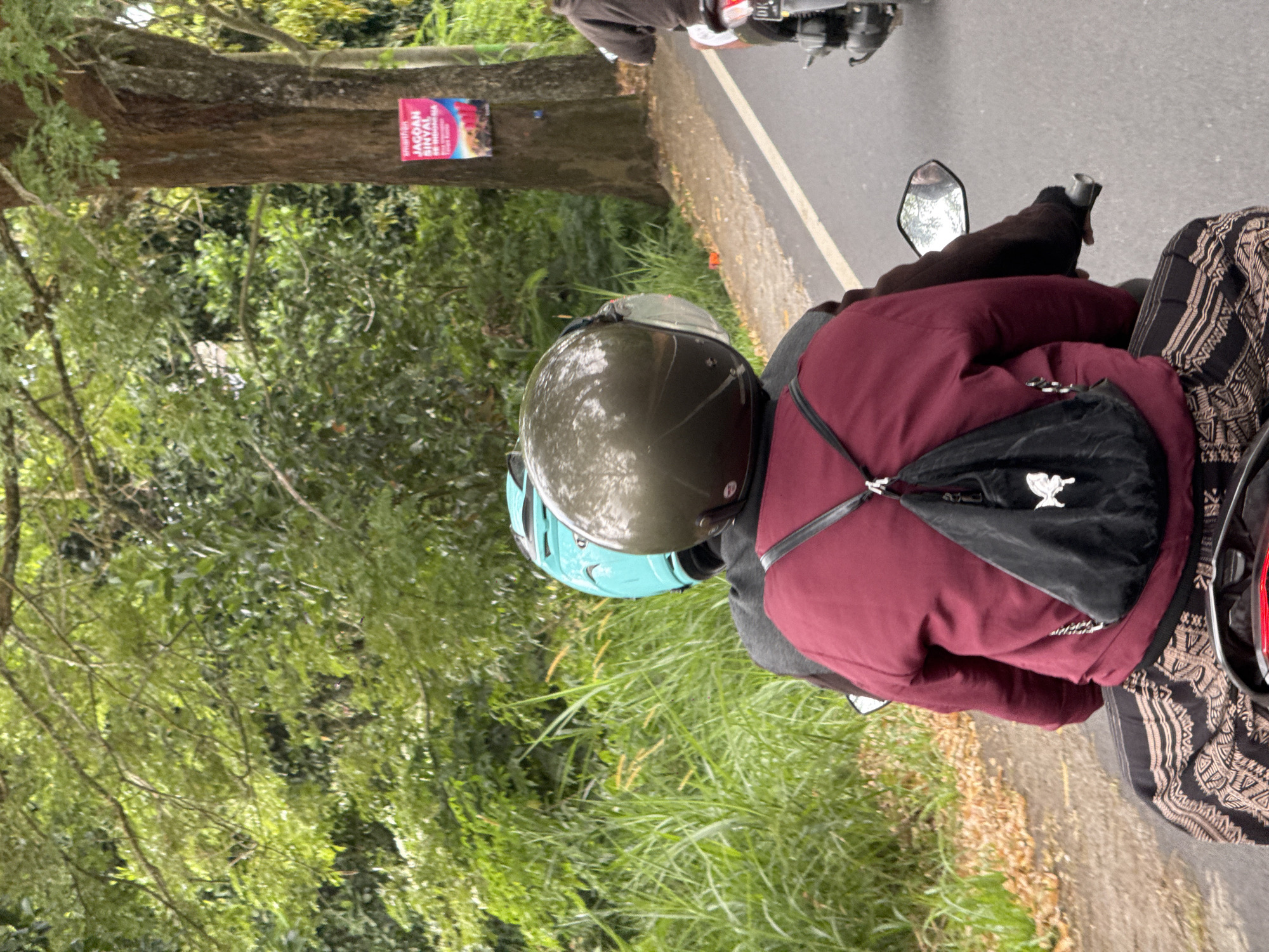 Two individuals, a driver and a passenger, are riding a motorcycle on a paved road in Kintamani, Indonesia. The passenger, wearing a maroon jacket and a patterned skirt, has a black backpack with a white butterfly design hanging from it. The driver wears a turquoise helmet. The motorcycle is moving forward on the right side of the road. To the left of the road, tall green grass and trees are visible. A large tree stands on the right side of the road with a poster attached to it. Another motorcycle is visible in the distance to the right, also traveling on the road. The environment appears to be rural, with lush vegetation suggesting a natural setting.