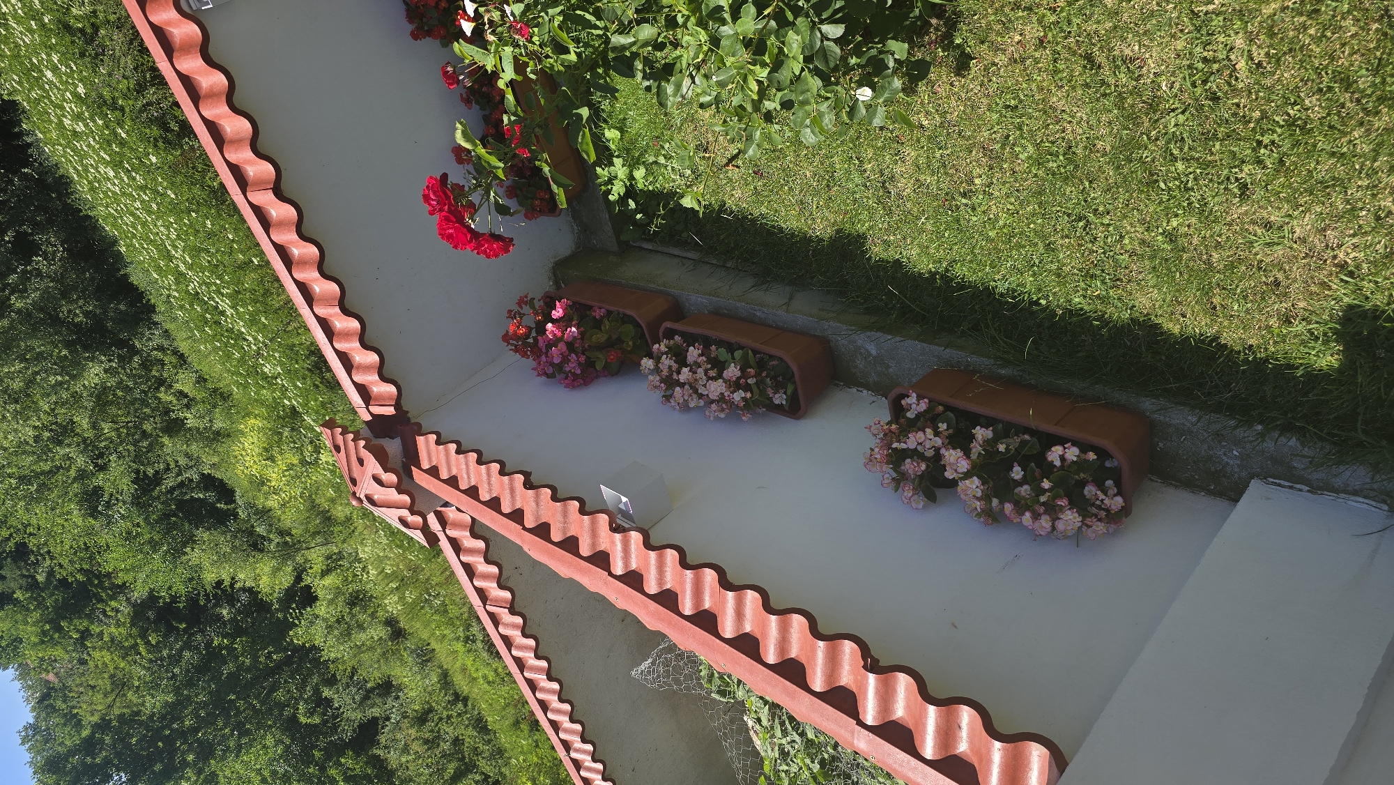 The image depicts a sunlit outdoor scene with a focus on a white wall adorned with red-tiled roofing. Along the base of the wall, three brown planters overflow with pink and red flowers. To the right, a rose bush with vibrant red blooms adds a splash of color. The ground is covered in green grass, and a lush green hillside with trees and white flowers rises in the background. The scene appears to be located in Baurene, Bulgaria.