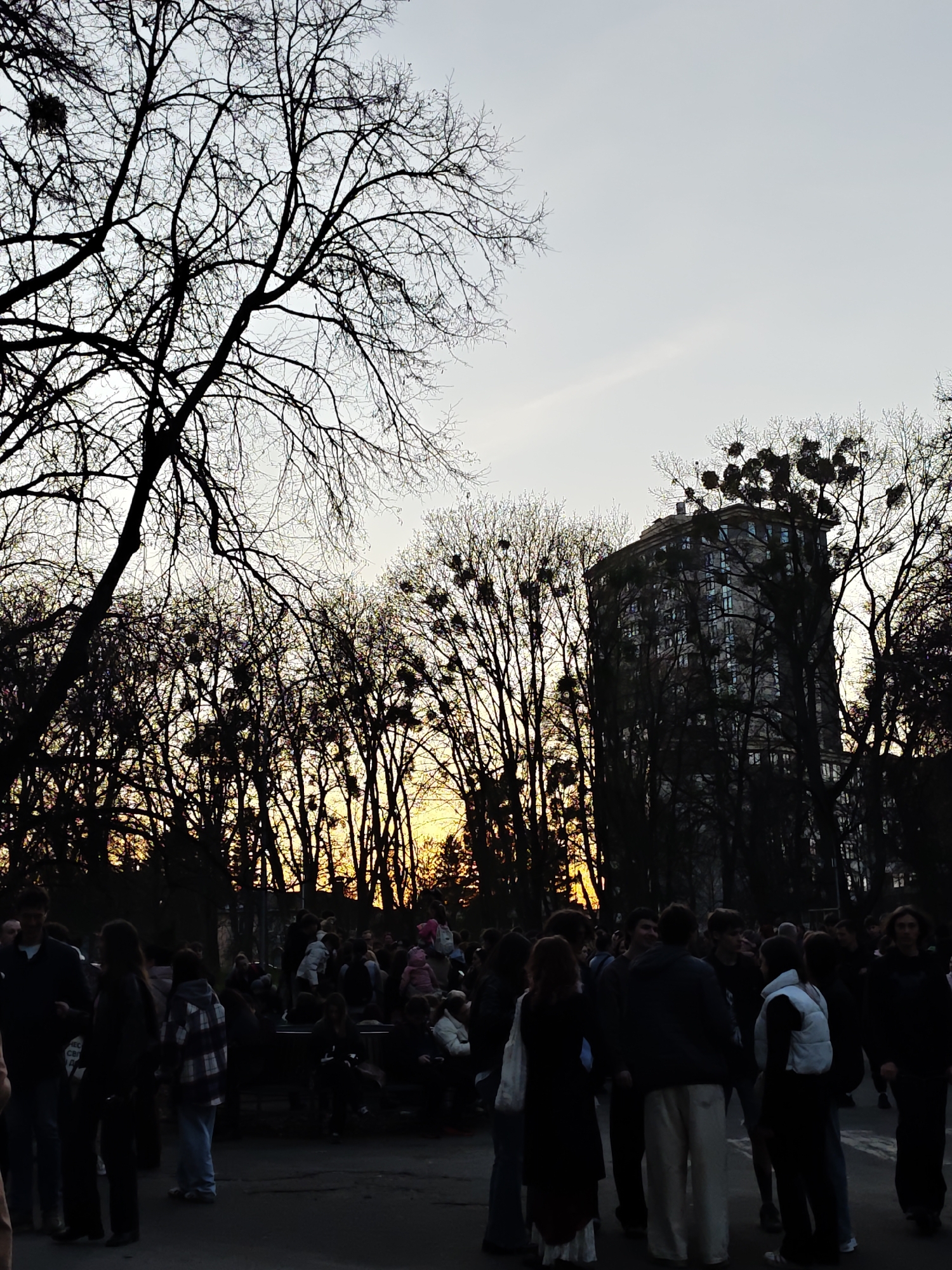 The image shows a crowd of people gathered in a park at sunset in Vinnytsia, Ukraine. In the background, there are silhouettes of trees and a tall, multi-story building. The trees have dark masses attached to their branches, which appear to be mistletoe. The crowd is made up of people of different ages and attire, some standing in groups talking, while others are seated. The overall scene is dark and obscured by silhouettes.