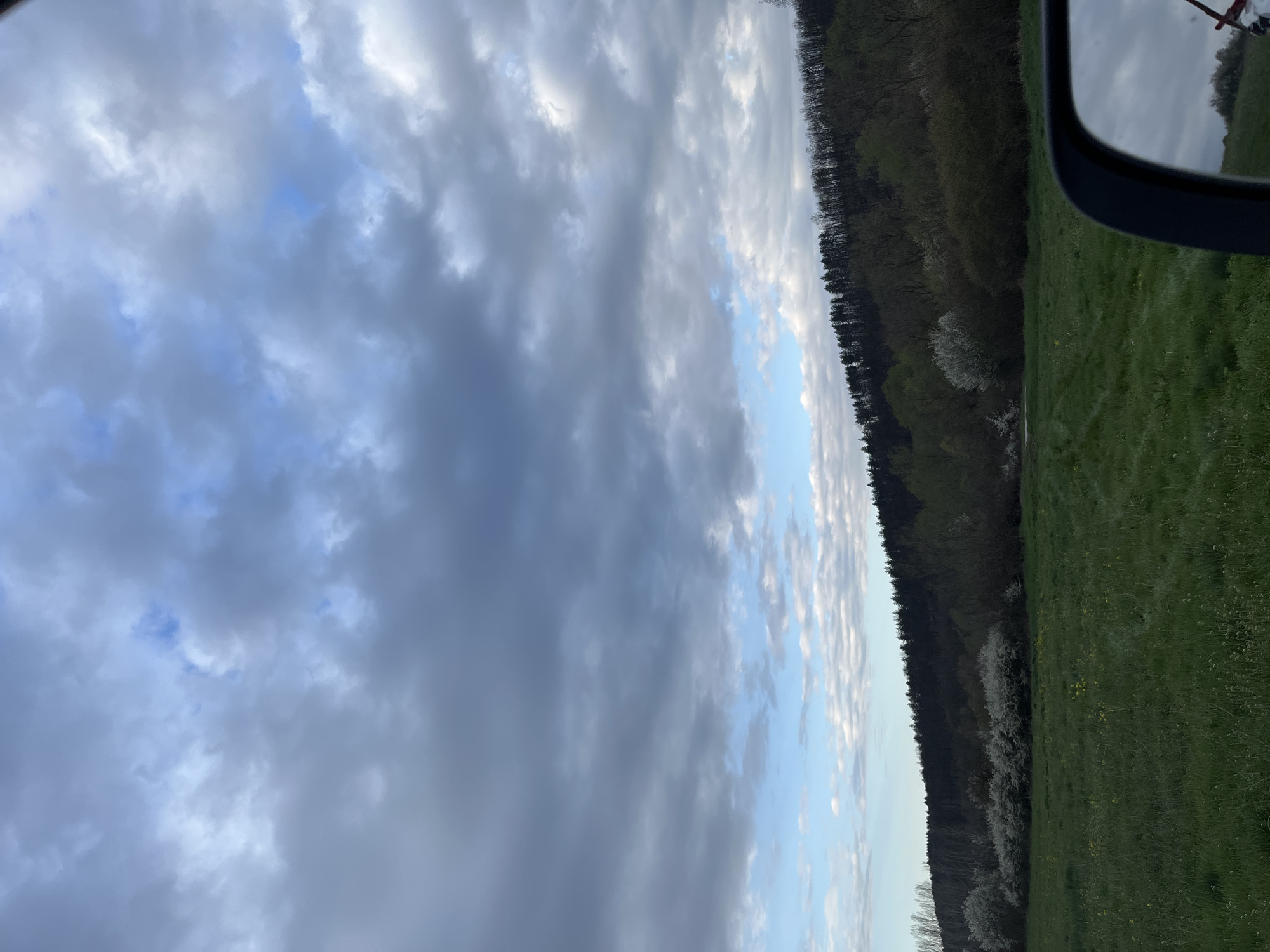 The image depicts a landscape in Varbeshnitsa, Bulgaria. The sky is filled with a mix of grey storm clouds and patches of blue. A line of dark trees separates the sky from a green field. White flowering trees are visible along the tree line. A side mirror is partially visible in the upper right corner of the image.