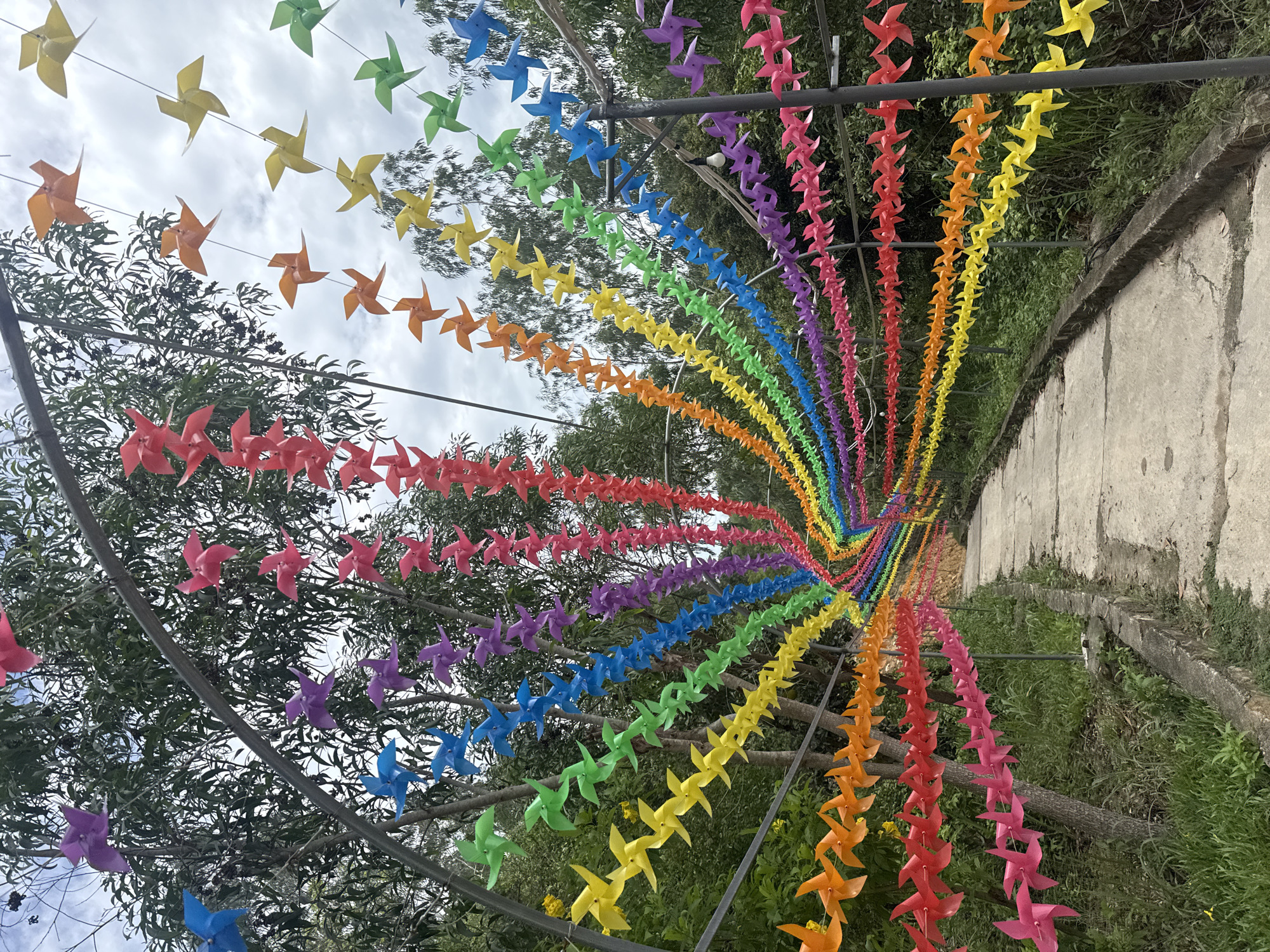 The image depicts a pathway in Nha Trang, Vietnam, adorned with a vibrant rainbow-colored archway made of pinwheels. The pinwheels are strung together and suspended from metal poles, creating a tunnel-like effect over a concrete path. They are arranged in a gradient of colors, starting with red and pink on the left, transitioning through orange, yellow, green, blue, and purple, and then back to rainbow colors as they recede into the distance. Lush green foliage and trees surround the pathway, suggesting a natural or park-like setting. The sky is overcast, with diffused light. There are no people visible in the image. The overall scene is festive and visually striking due to the colorful decoration.