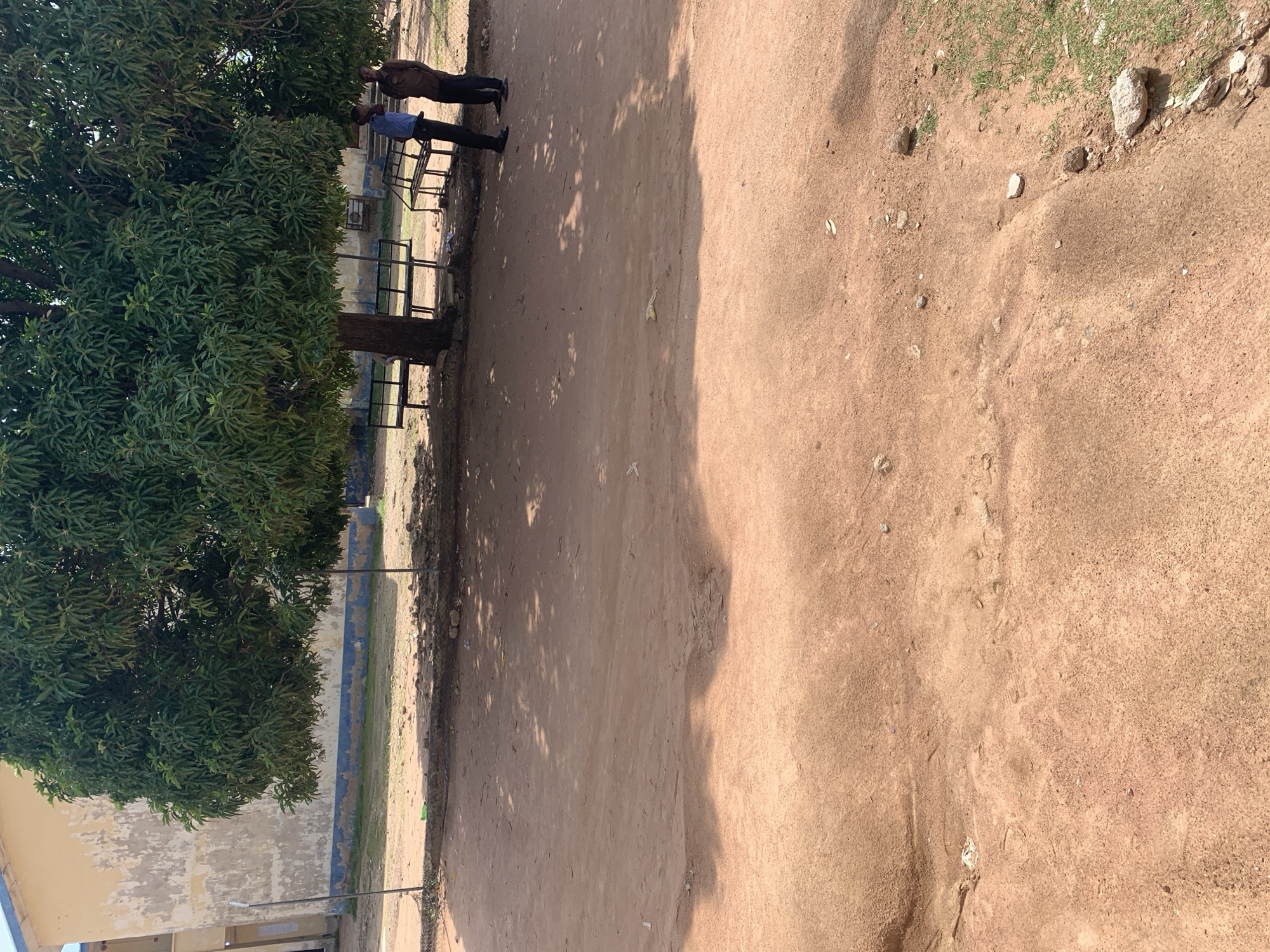 This image depicts an outdoor scene near a building in Jalingo, Nigeria. In the foreground, a dirt ground is visible with some rocks and sparse vegetation on the right side. In the midground, a large tree with dense green foliage provides shade over a sandy area. Several metal benches are situated under the tree. Two individuals, appearing to be adult males, are standing near the benches, facing each other and seemingly engaged in conversation. One man is wearing a blue shirt and dark pants, while the other is in a brown shirt and dark pants. Behind the tree and benches, a building with a pale yellow, weathered exterior is visible, featuring a blue stripe along its base and a section of a chain-link fence. The overall impression is a casual outdoor setting, possibly a school or community area, given the presence of benches and the building.