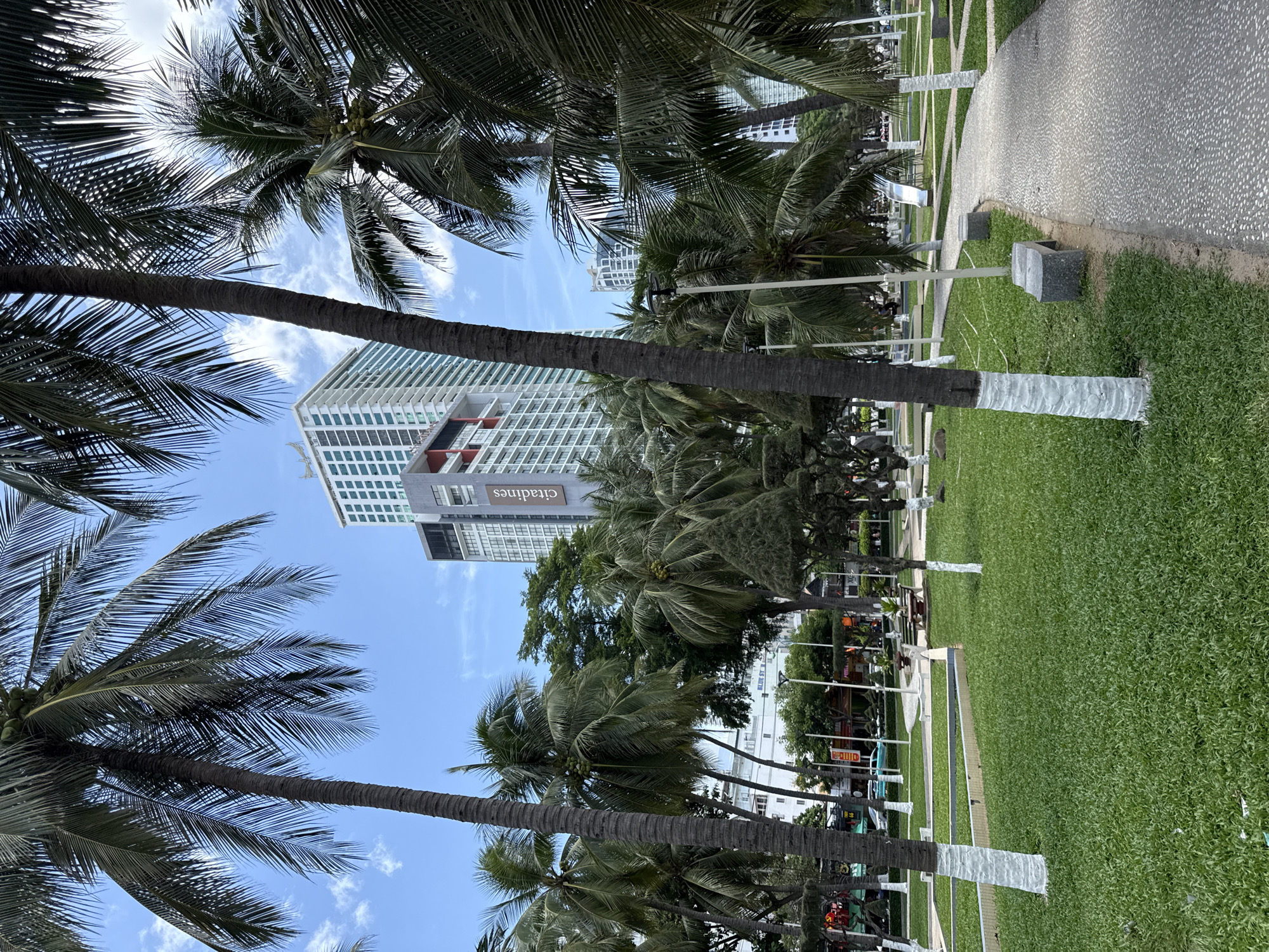 The image captures a tropical park scene in Nha Trang, Vietnam, characterized by lush green grass, winding pathways, and numerous palm trees. In the background, modern high-rise buildings dominate the skyline, with one prominent building featuring the "Citadines" logo. The foreground shows a well-maintained lawn with several stone benches placed along a paved walkway. The pathway is constructed from small, light-colored stones. Several palm trees are visible, some with their trunks painted white at the base. The sky is a clear blue with scattered white clouds. The overall impression is a serene urban park setting adjacent to the city's modern architecture, likely a popular spot for relaxation and recreation.