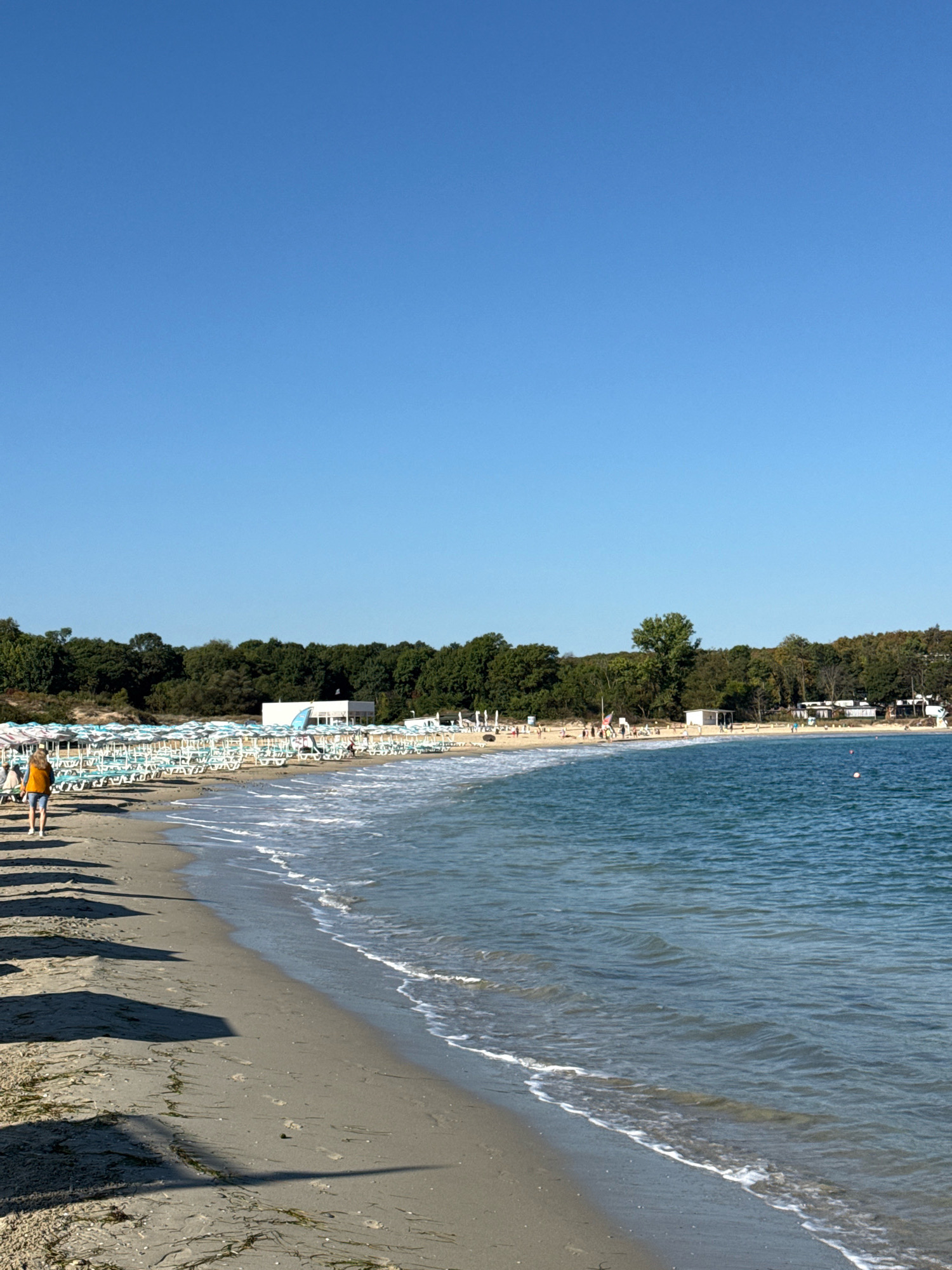The image depicts a sunny day at a beach in Kiten, Bulgaria. The foreground shows a sandy beach with gentle waves lapping at the shore. Scattered seaweed and footprints mark the sand, and shadows of umbrellas are cast across the beach. In the middle ground, rows of empty beach chairs and umbrellas are set up, indicating a prepared area for sunbathers. A few people are visible walking along the beach or sitting on chairs. Behind the beach chairs, a line of green trees forms a backdrop, with some buildings visible nestled within the foliage. The sky above is clear and blue, suggesting fair weather.