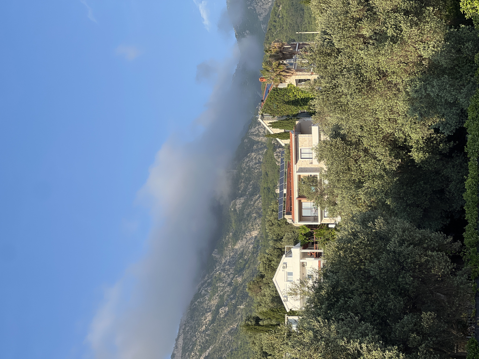 The image shows a view of a mountainous landscape with a cluster of residential buildings nestled amongst lush green trees in Ivanovići, Montenegro. Dense fog partially obscures the mountain range. The sky is a clear blue. Several houses are visible, some adorned with solar panels on their roofs. The trees in the foreground partially obscure the lower buildings.