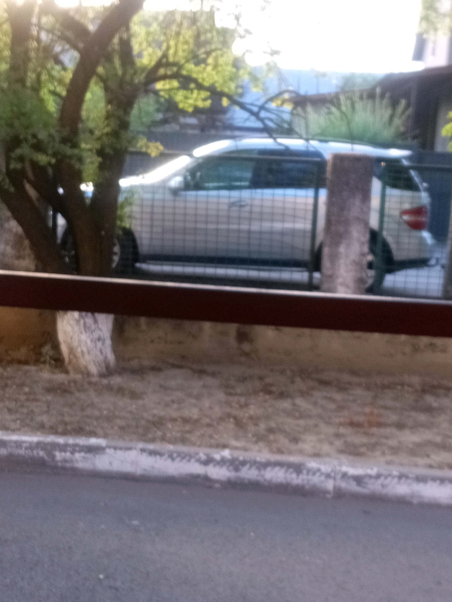 An outdoor daytime scene shows a silver car parked behind a fence with a reddish-brown horizontal bar in the foreground. The car, possibly a station wagon, is partially obscured by a tree with dark brown branches and green leaves on its left. The background includes a building with a white upper story and a darker lower story, and lush green vegetation. The ground in the foreground consists of dry, brown dirt. The car is parked on a paved surface, and a curb separates the paved area from the dirt. The scene appears to be a residential area in Tiachiv, Ukraine, given the details of the car, fence, vegetation, and building style.