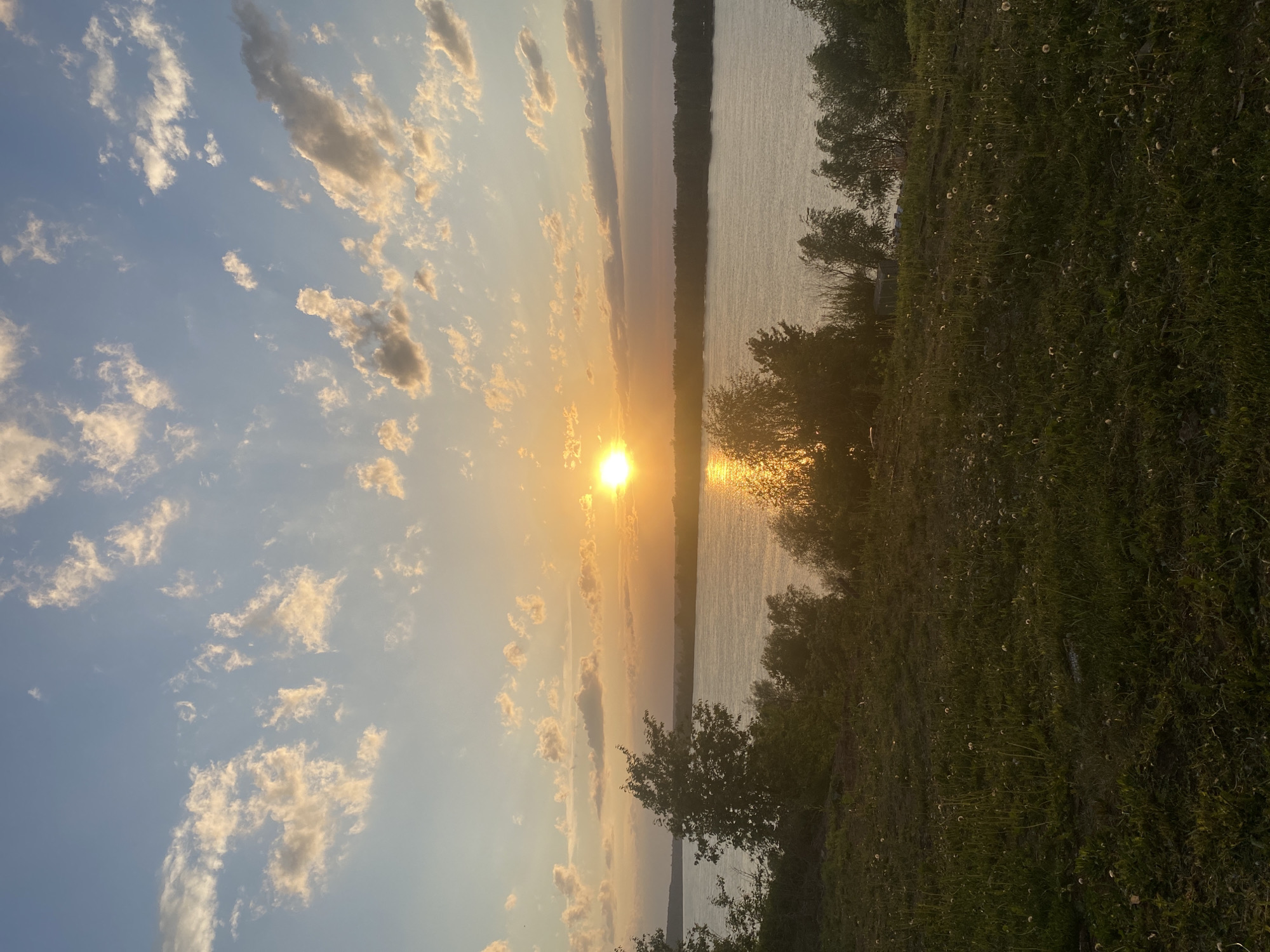 The image depicts a sunset over a body of water, possibly a river or a lake, with the sun centered in the frame. The sky is a mix of light blue and orange hues, with scattered clouds illuminated by the setting sun. The reflection of the sun shimmers on the water's surface, creating a bright, golden path. The shoreline is visible on the right side of the image, covered in vegetation, including grass, bushes, and trees. The scene suggests a natural setting, likely near a river or lake in Ольховка, Russia, as specified. There are no people or other discernible objects in the image besides the natural landscape.