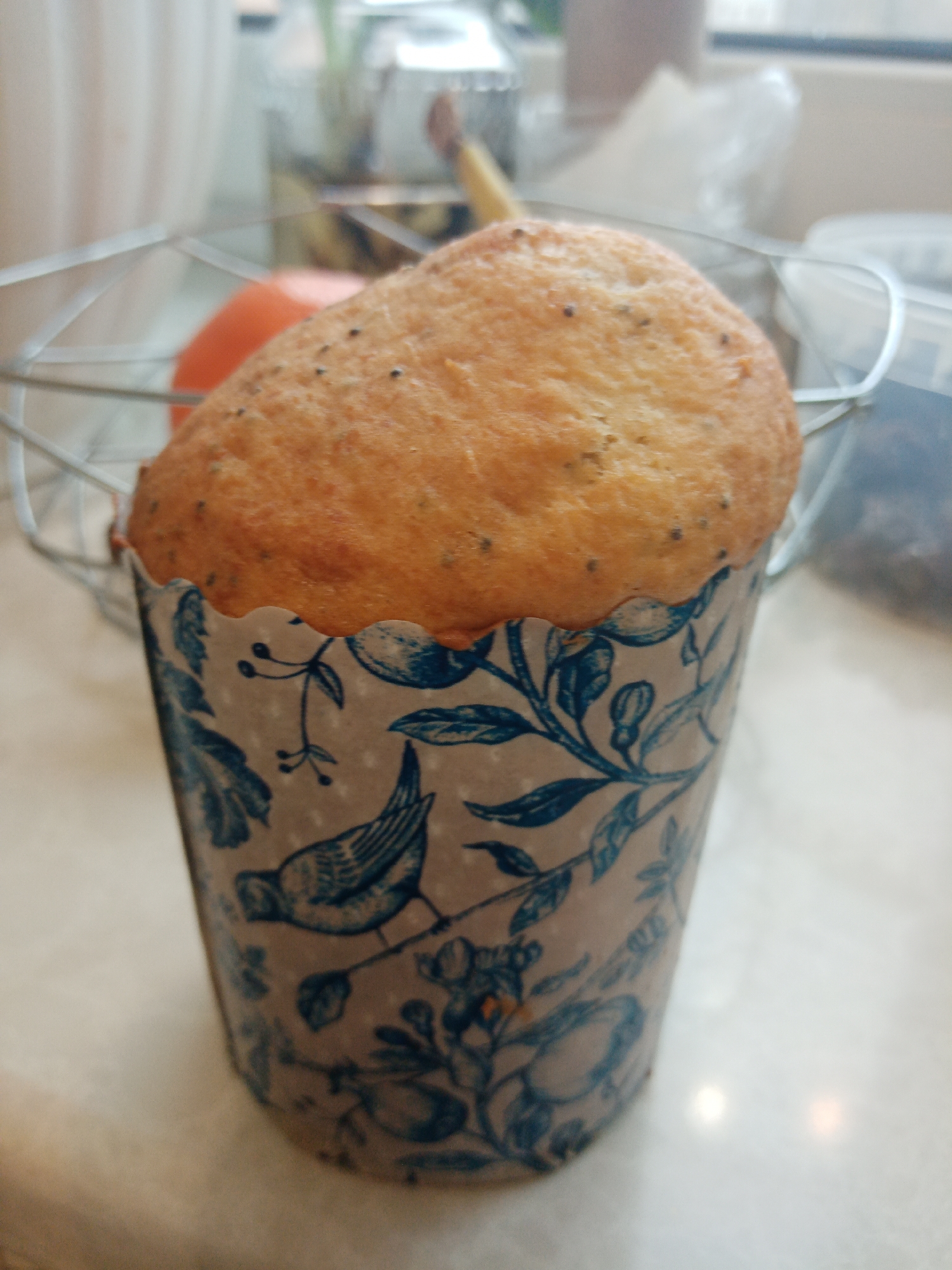 A close-up shot features a muffin in a blue and white patterned paper cup. The muffin has a golden-brown color and appears to be topped with poppy seeds. The paper cup has a decorative design featuring birds and floral motifs. The muffin sits in a wire basket. The background includes a blurry view of other objects. The location is unspecified, but Elektrostal, Russia, has been suggested. No specific people, interactions, or actions are visible in the shot.