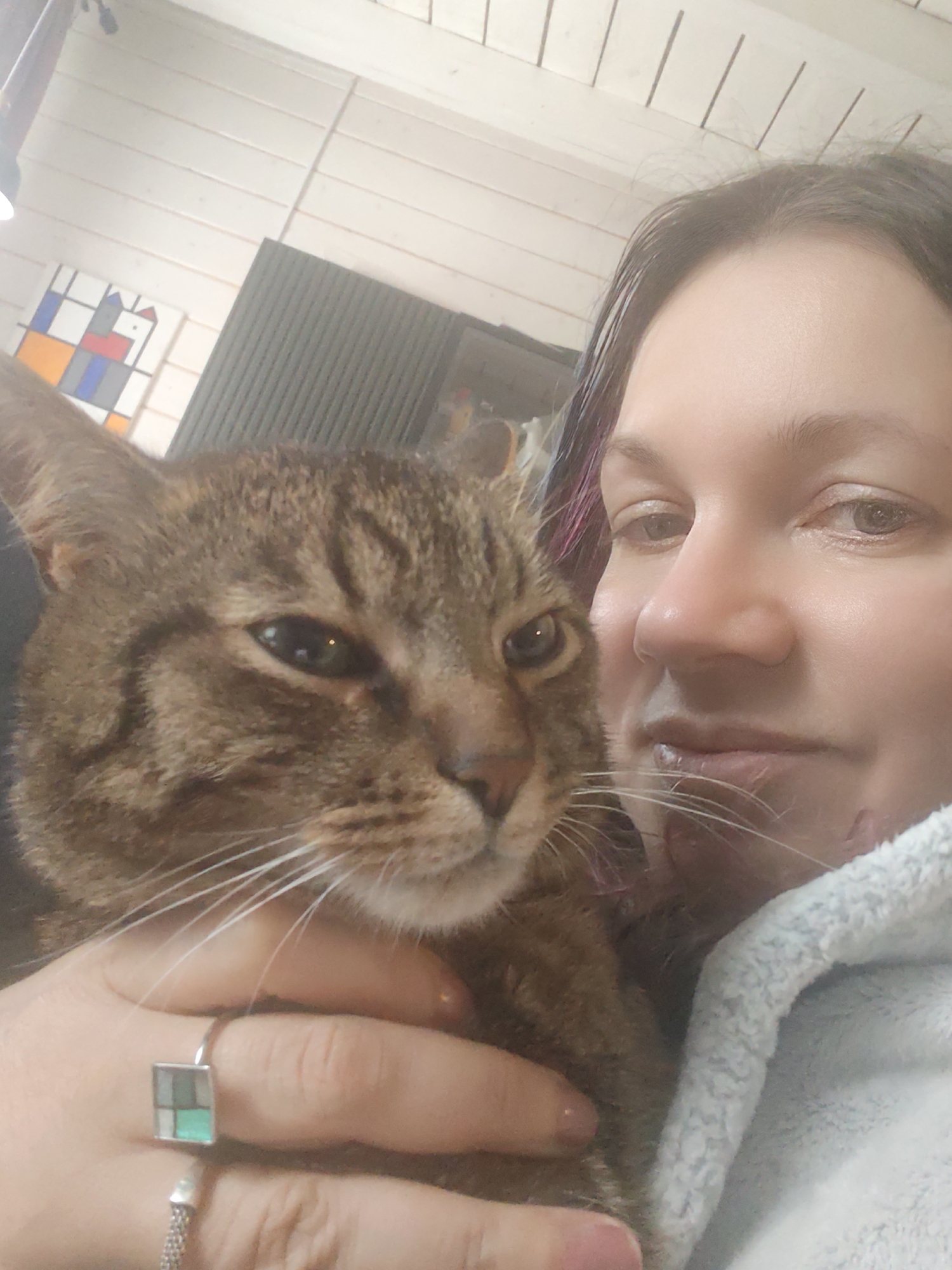 A woman shares a close-up, affectionate selfie with a tabby cat, likely taken indoors in a home setting in Свистуха (кузяевский С/о), Russia. The woman, appearing to be an adult, has dark hair with subtle colored streaks and displays a gentle expression, possibly a slight smile. She is partially covered by a light blue, soft, or fuzzy garment, possibly a robe or blanket. On her left ring finger, she wears a distinctive silver ring with a square-shaped top featuring a mosaic-like design in grey, white, turquoise, and dark blue. Another textured silver ring is visible on her left middle finger.
The tabby cat, with its brown and grey striped fur and prominent white whiskers, is held close to the woman. Its head is slightly turned, and its eyes appear calm and engaged. The interaction conveys a sense of comfort and affection between the woman and her pet.
In the background, a white wooden planked wall or ceiling is visible, suggesting a rustic or modern-rustic interior. An abstract geometric painting hangs on the wall, characterized by bold black lines forming squares and rectangles filled with white, blue, red, and orange colors. A dark, possibly corrugated or slatted object, which could be furniture or a wall panel, is also partially visible. The lighting appears soft and diffused, typical of an indoor environment. There is no visible text in the image.